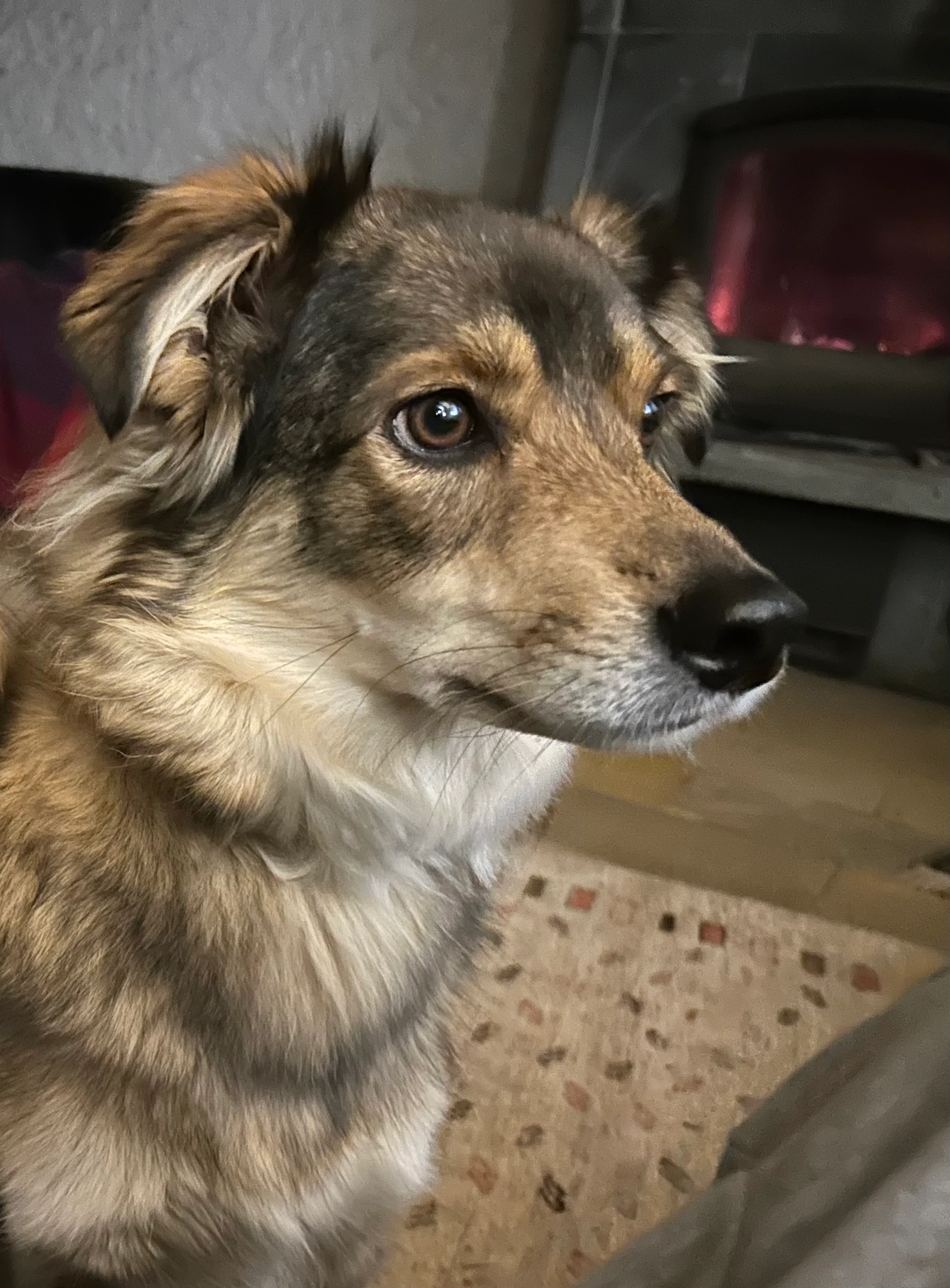 Mikado - Rue de la Hoube, Urmatt