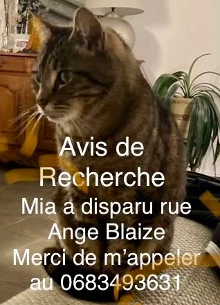 Mia - Rue Ange Blaize, Rennes