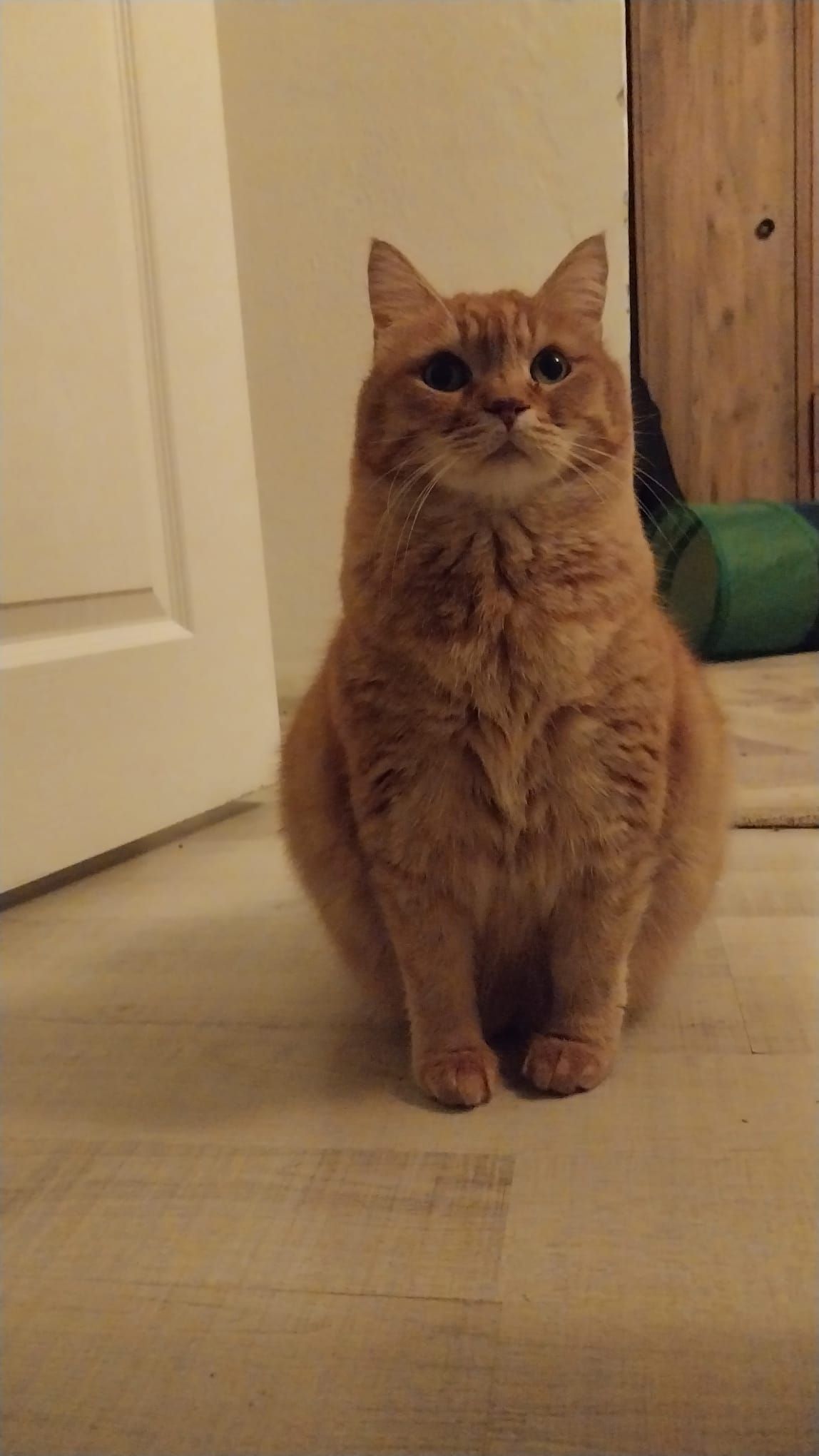 dori - Muğla Bulvarı, Aydın