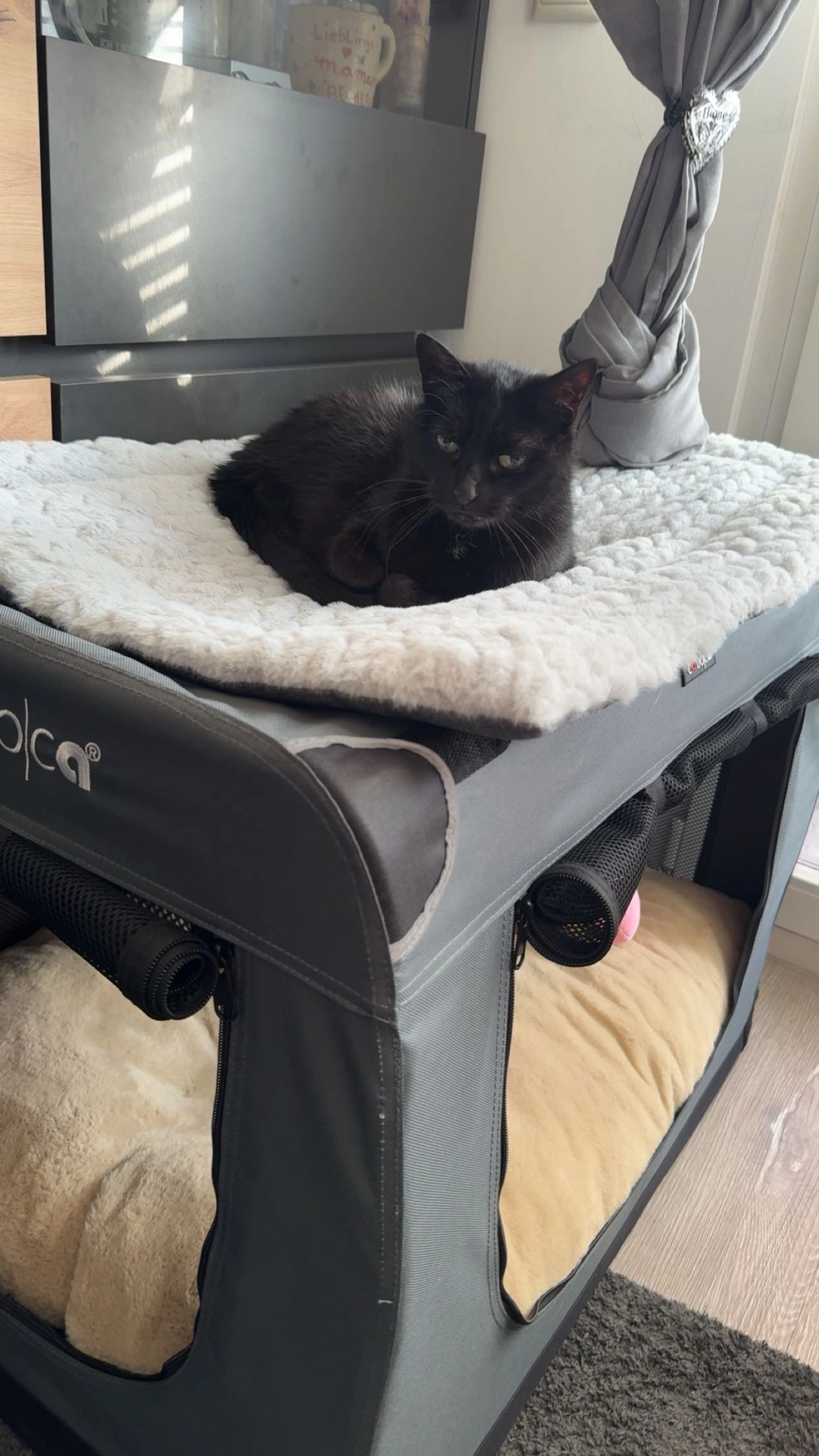 Maylee - Klosterstraße, Duisburg