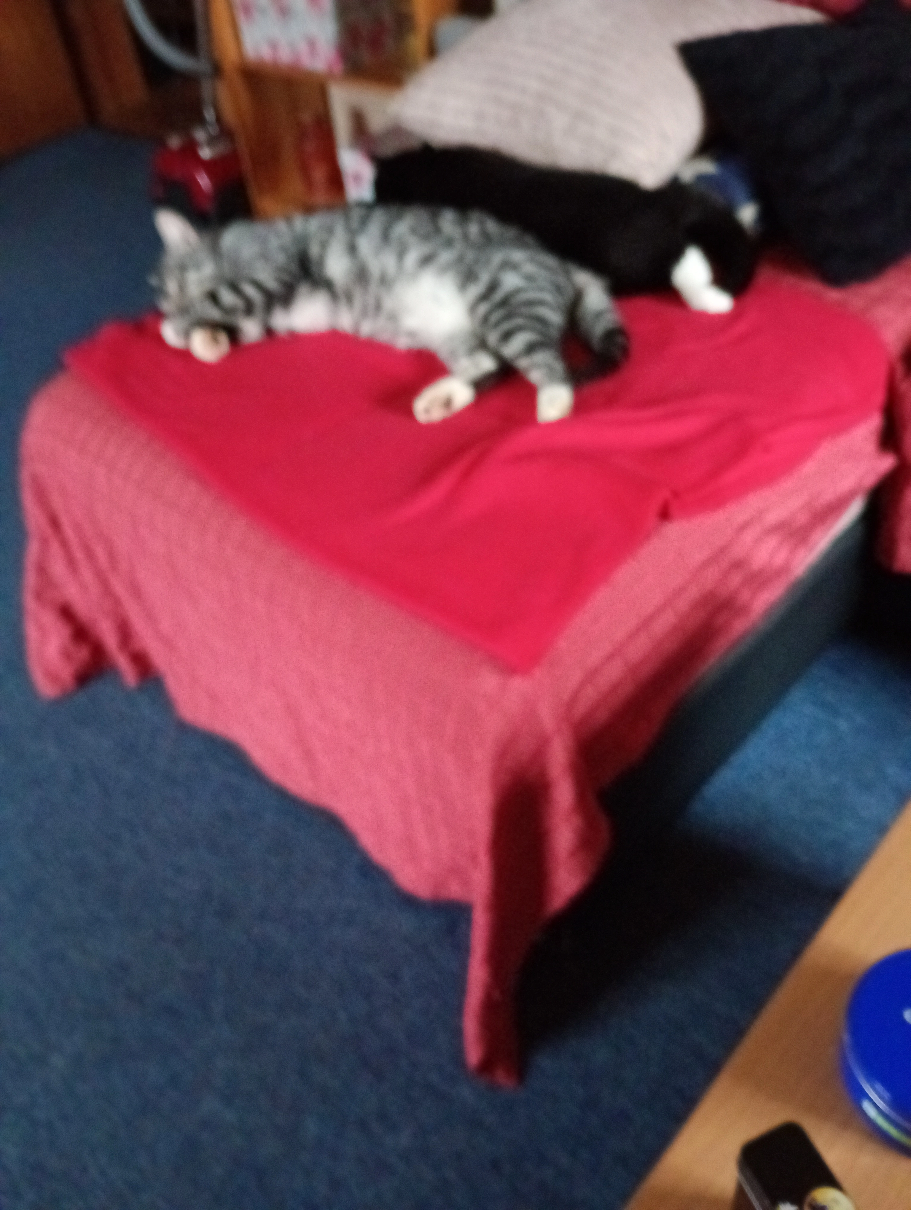 Musch - Bahnhofsallee, Ratzeburg