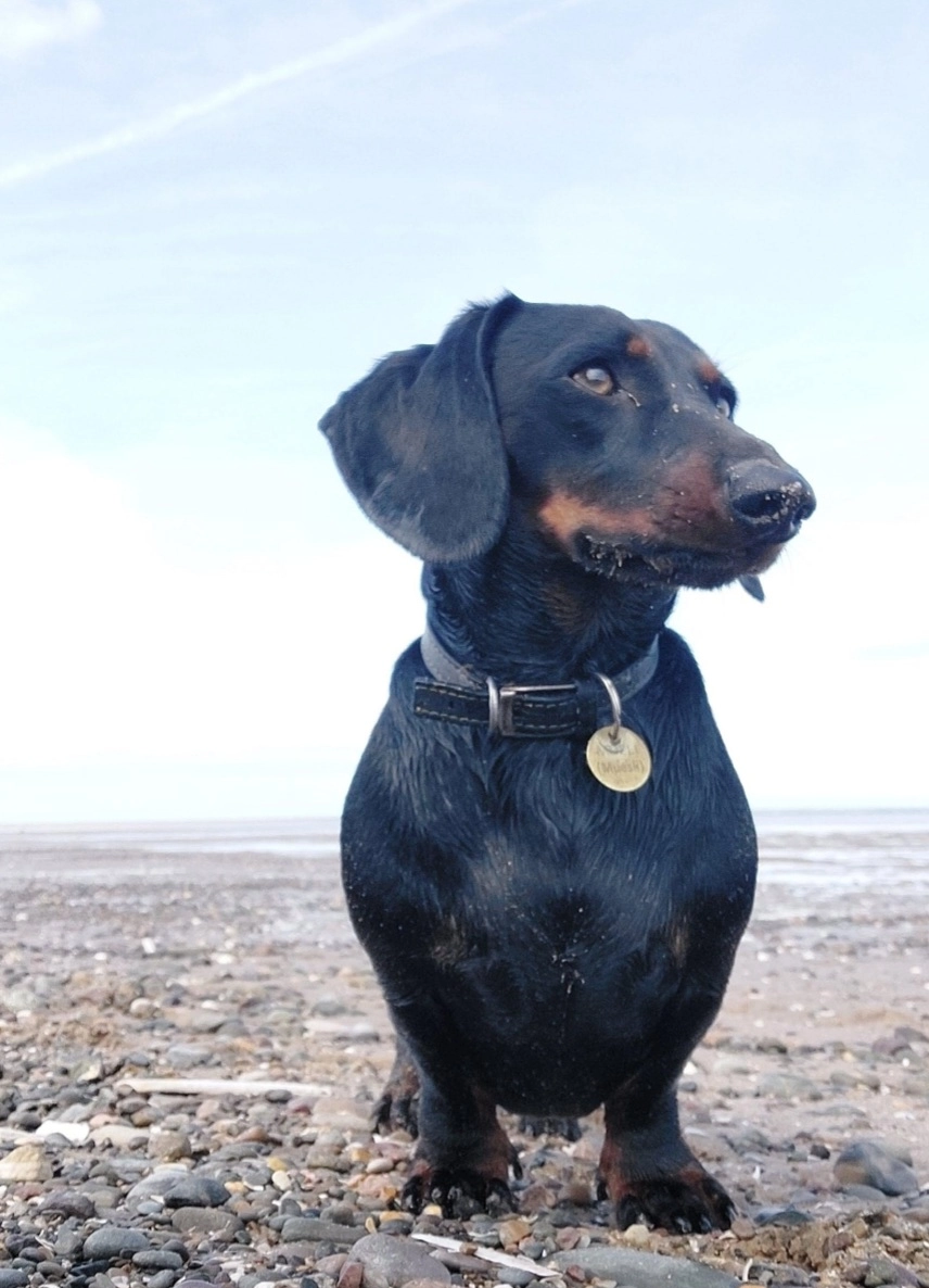 Muzli - Cycling path next to river towards Chester , Garden city