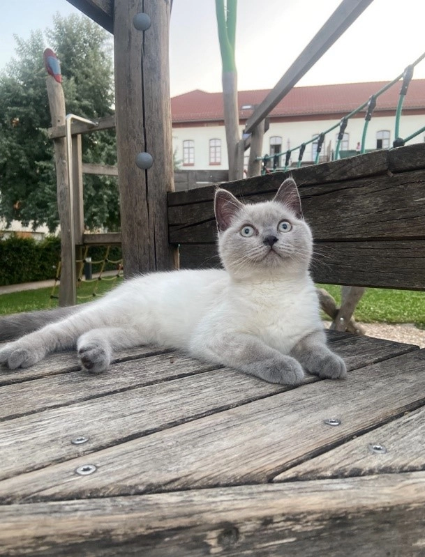 Casper - Viktor-Weiß-Straße, Landau in der Pfalz