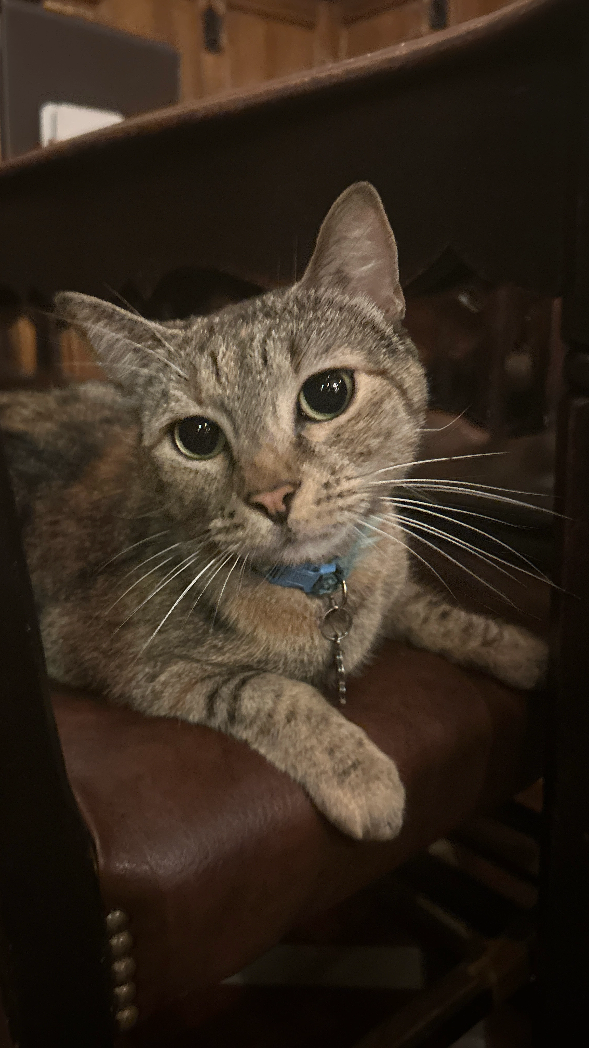 Bouboulina - Rue de Bruxelles, Montluçon