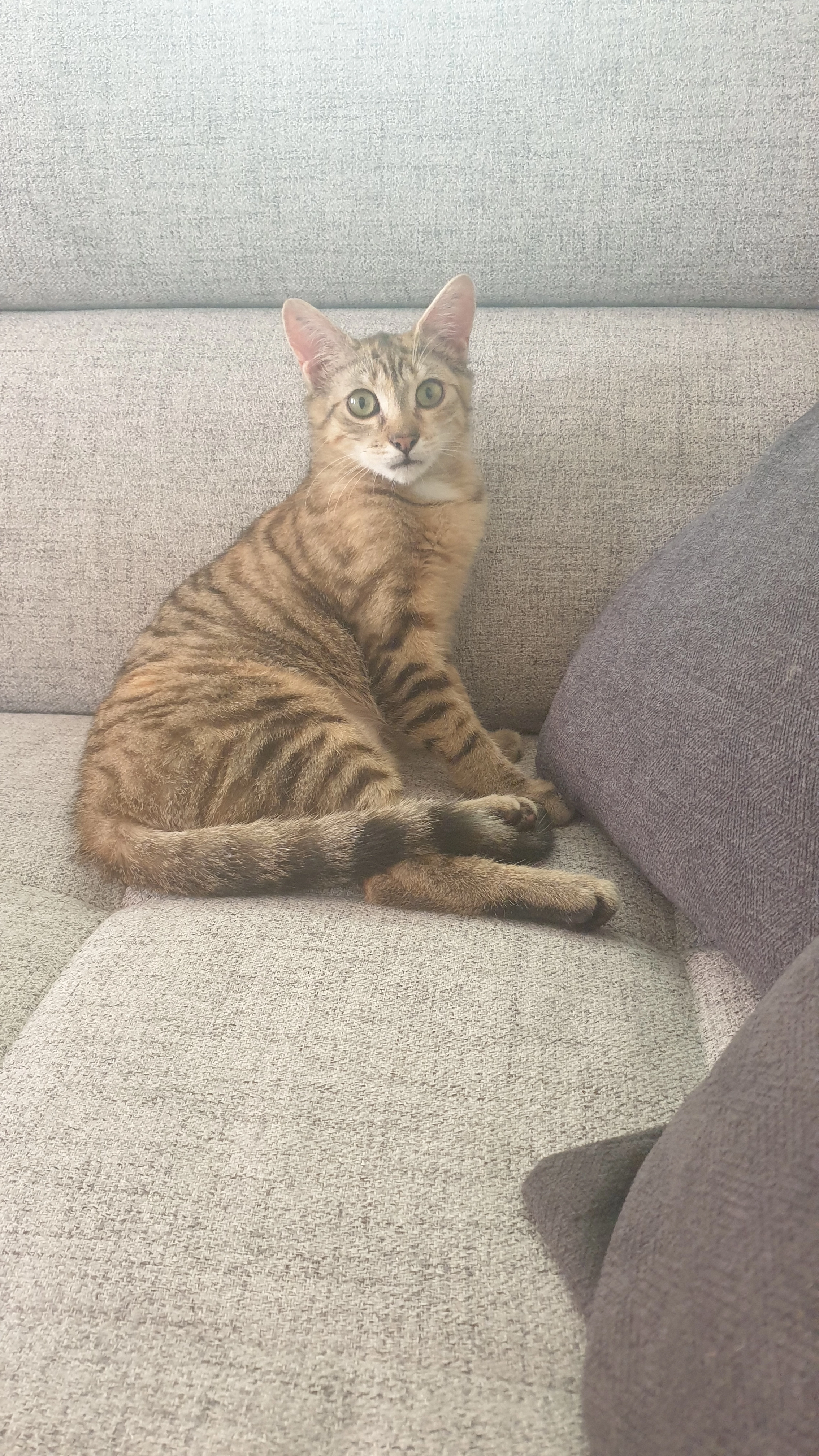 Maxie  - Erlenweg, Ravenstein