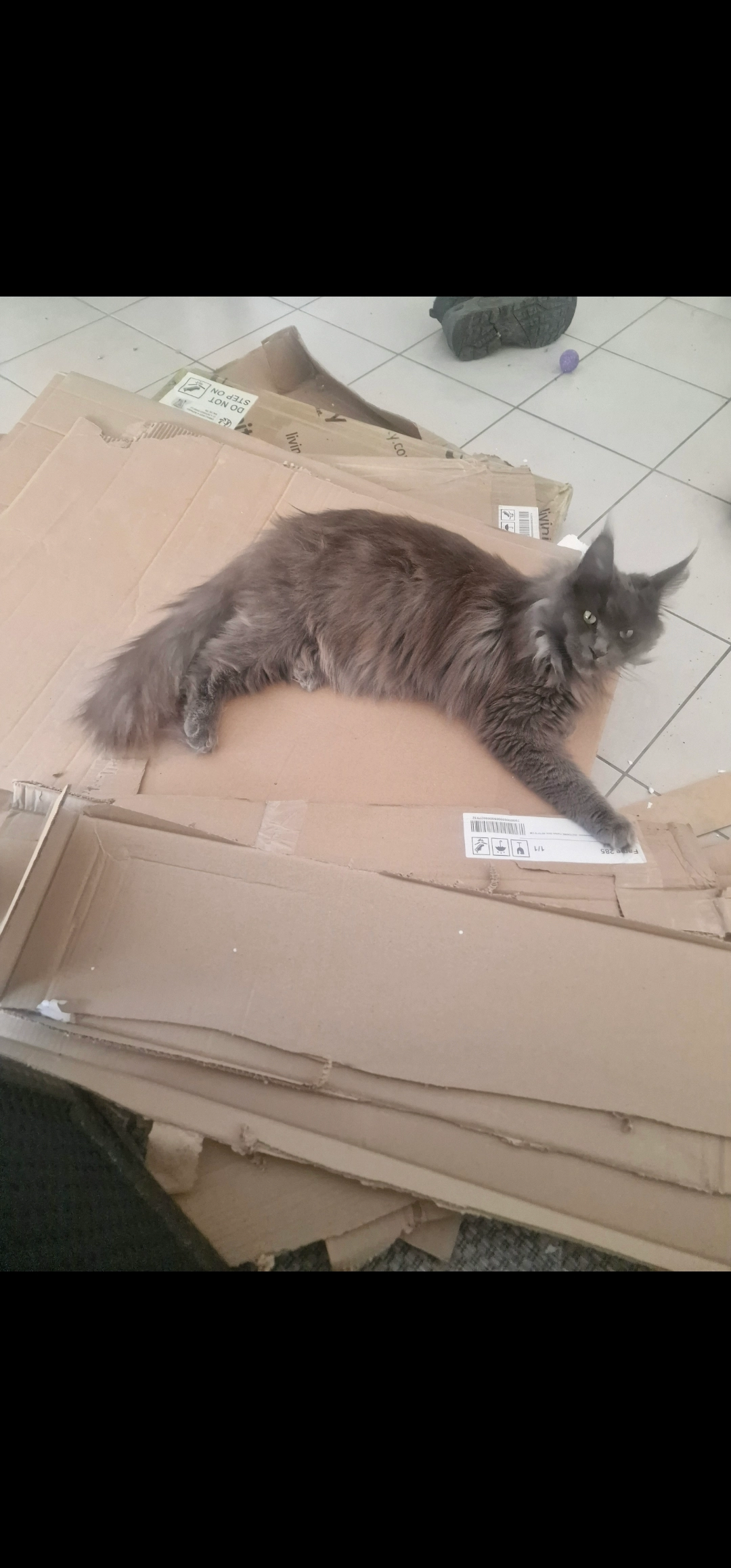 Uliana - Rue de Vareilles, Ambérieu-en-Bugey