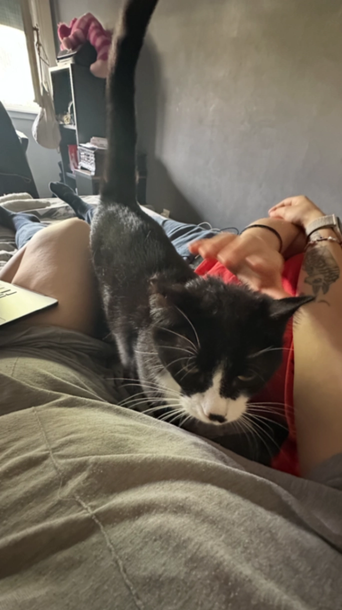 Grattastinchi - Via Bagnara, Lerici