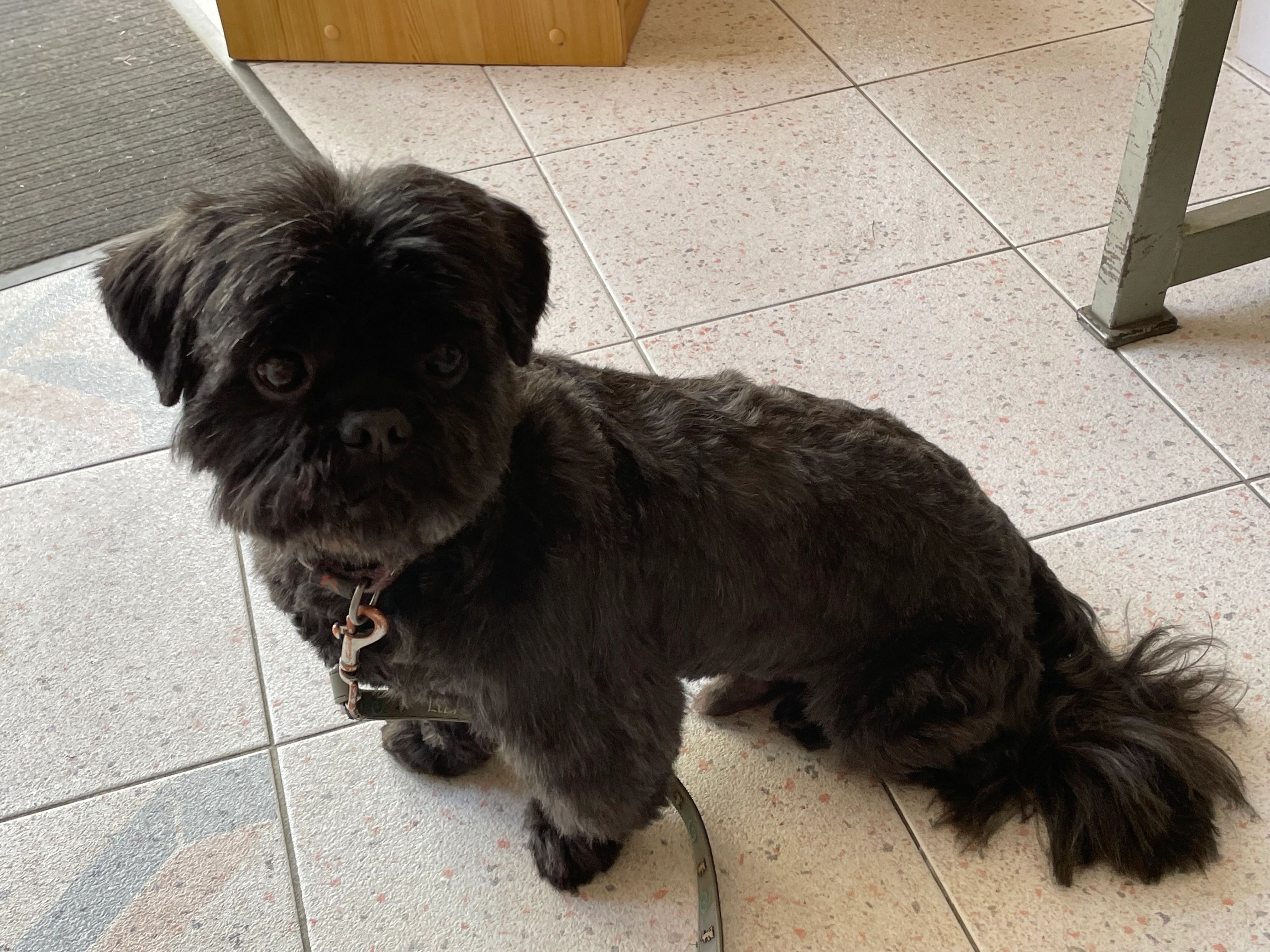 Isi - Route du Vallon de Jourdain, Sainte-Colombe-en-Bruilhois