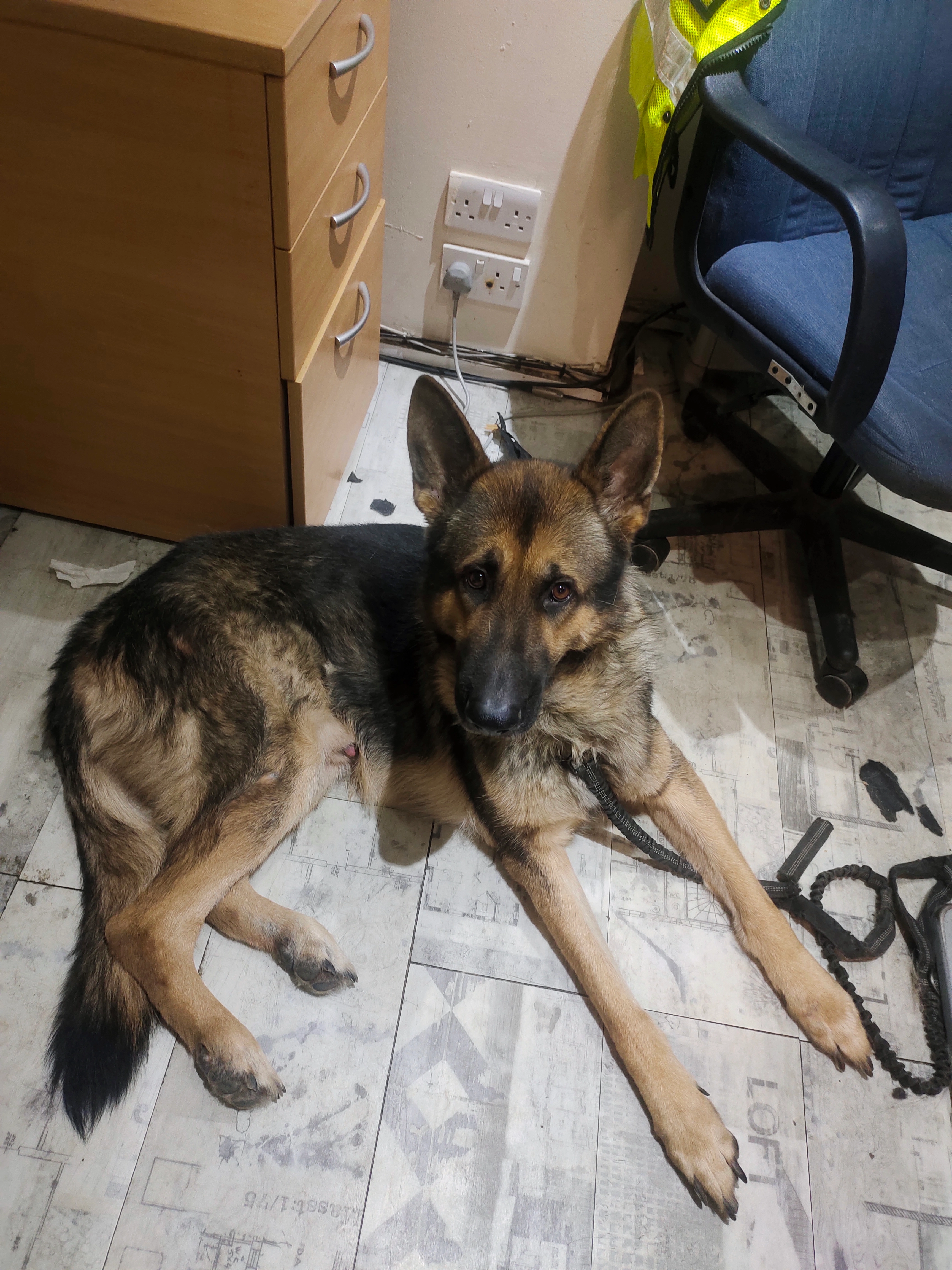 Apex - BD6 1, Bradford