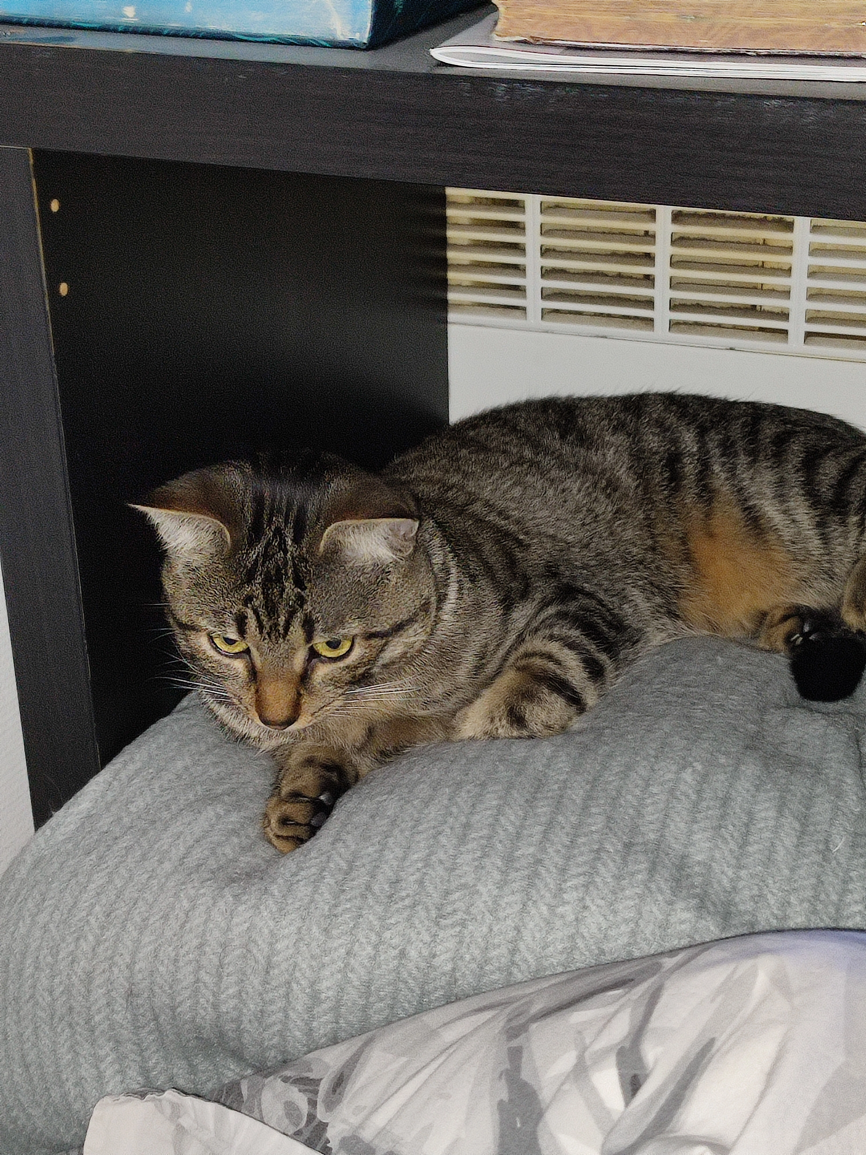 Spyke - Allée De La 2e Division Blindée, Rosny-sous-Bois