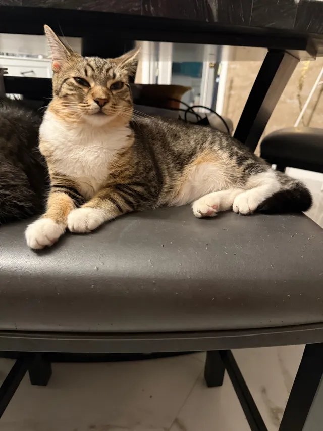 Boots - Ridge Road, Largo