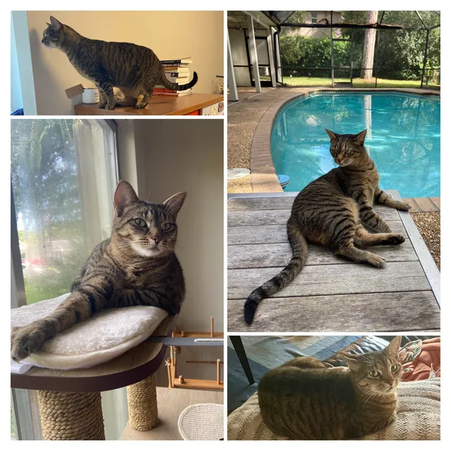 RayRay - Timbercreek Circle Northwest, Boca Raton
