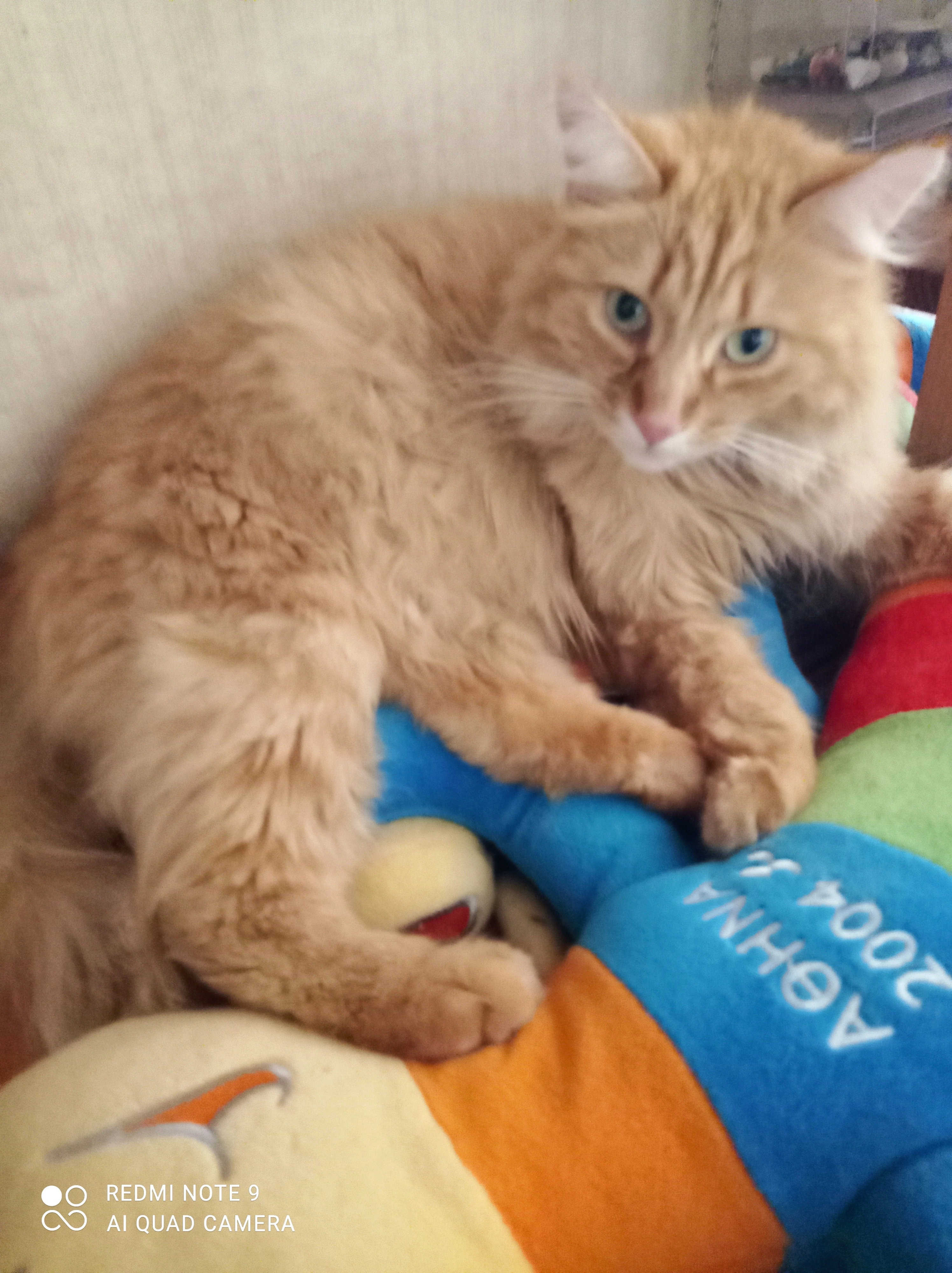 Ulysse - Paix, Marmande