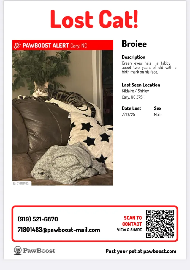 BROiee or Browen - 706 Kildaire Farm Rd, Cary