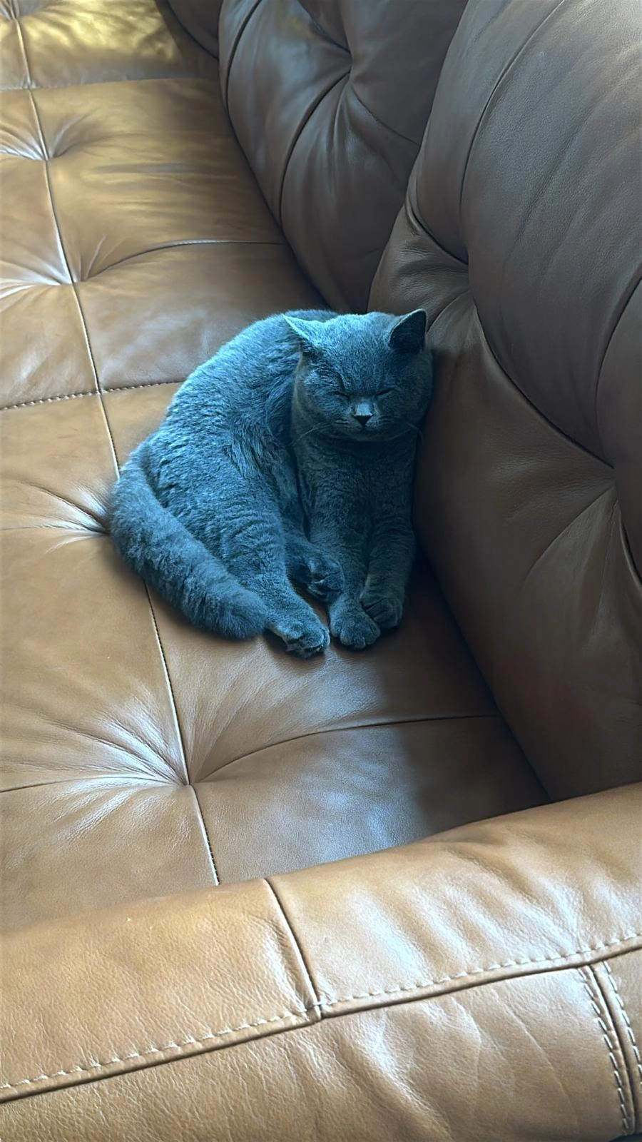 Jane - Troy Park, Londonderry Derry