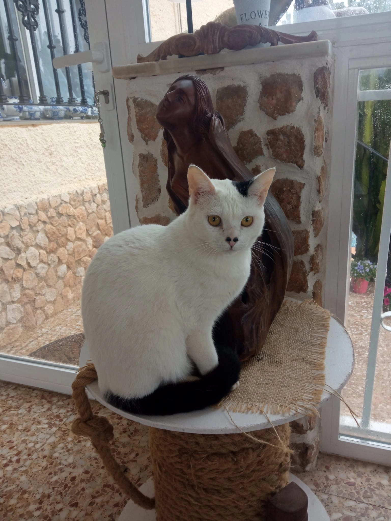 White - Pl Poligono Numero 25, Montserrat