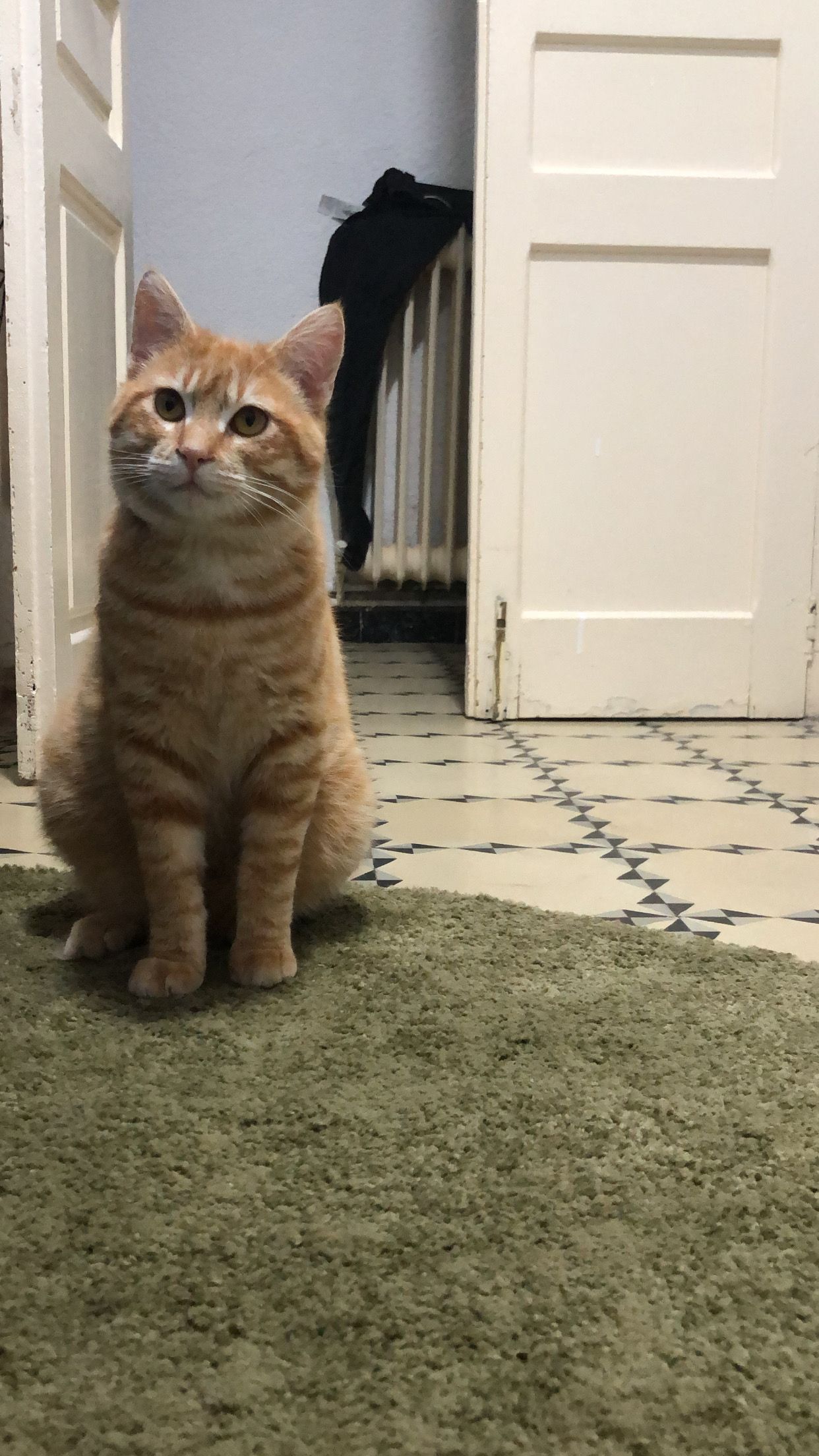 Crispy - Carrer D'antoni Cusidó, Sabadell