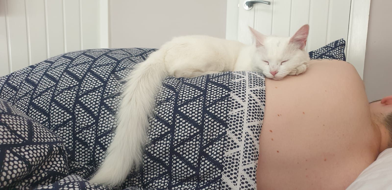 Casper  - Worcester Road, Wisbech