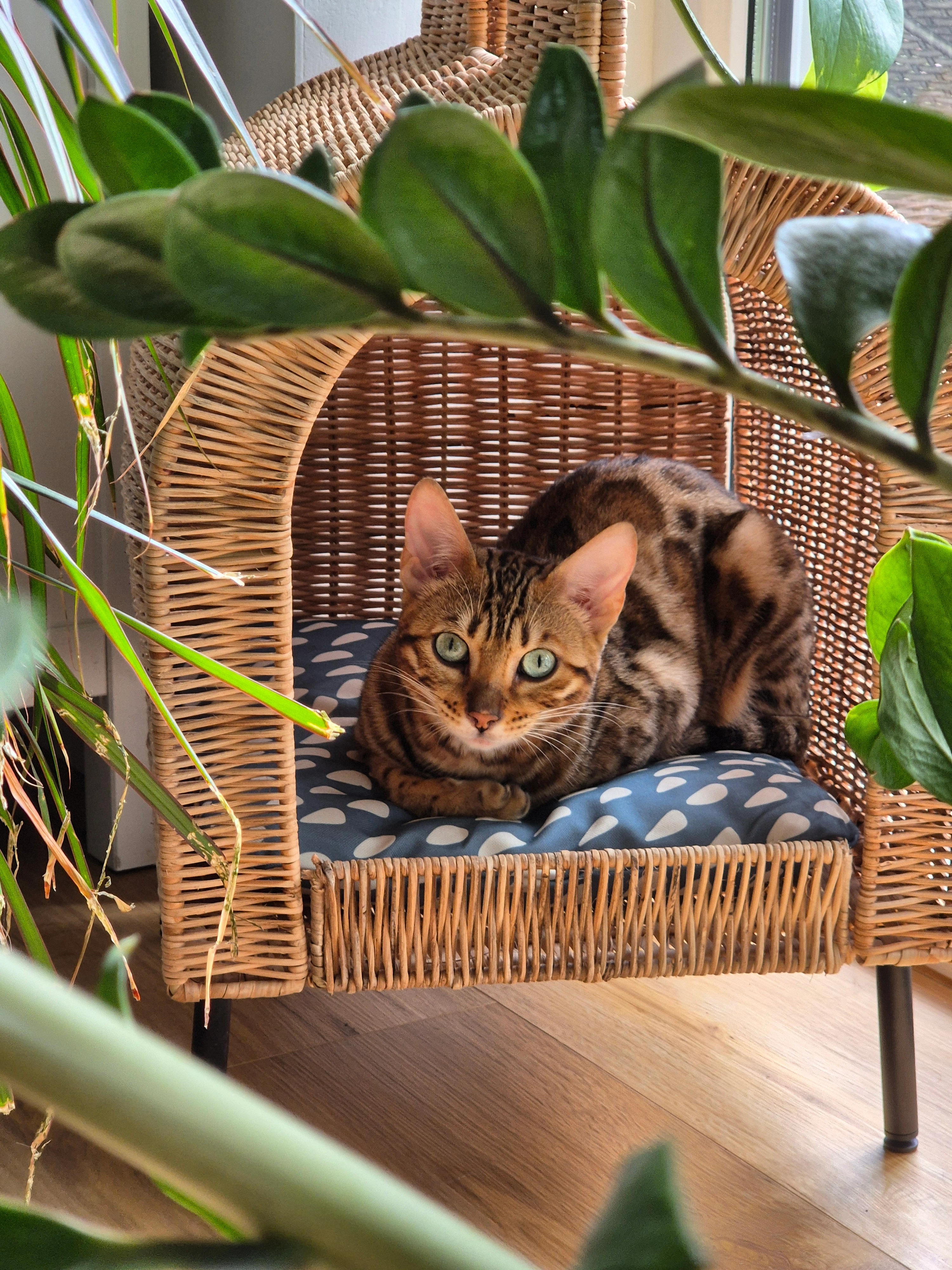 Murmel - Auf der Weth, Gerolzhofen