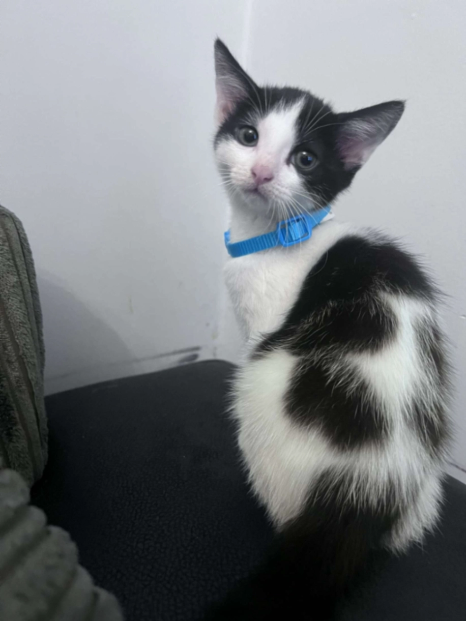 Charlie - NE29 7, North Shields