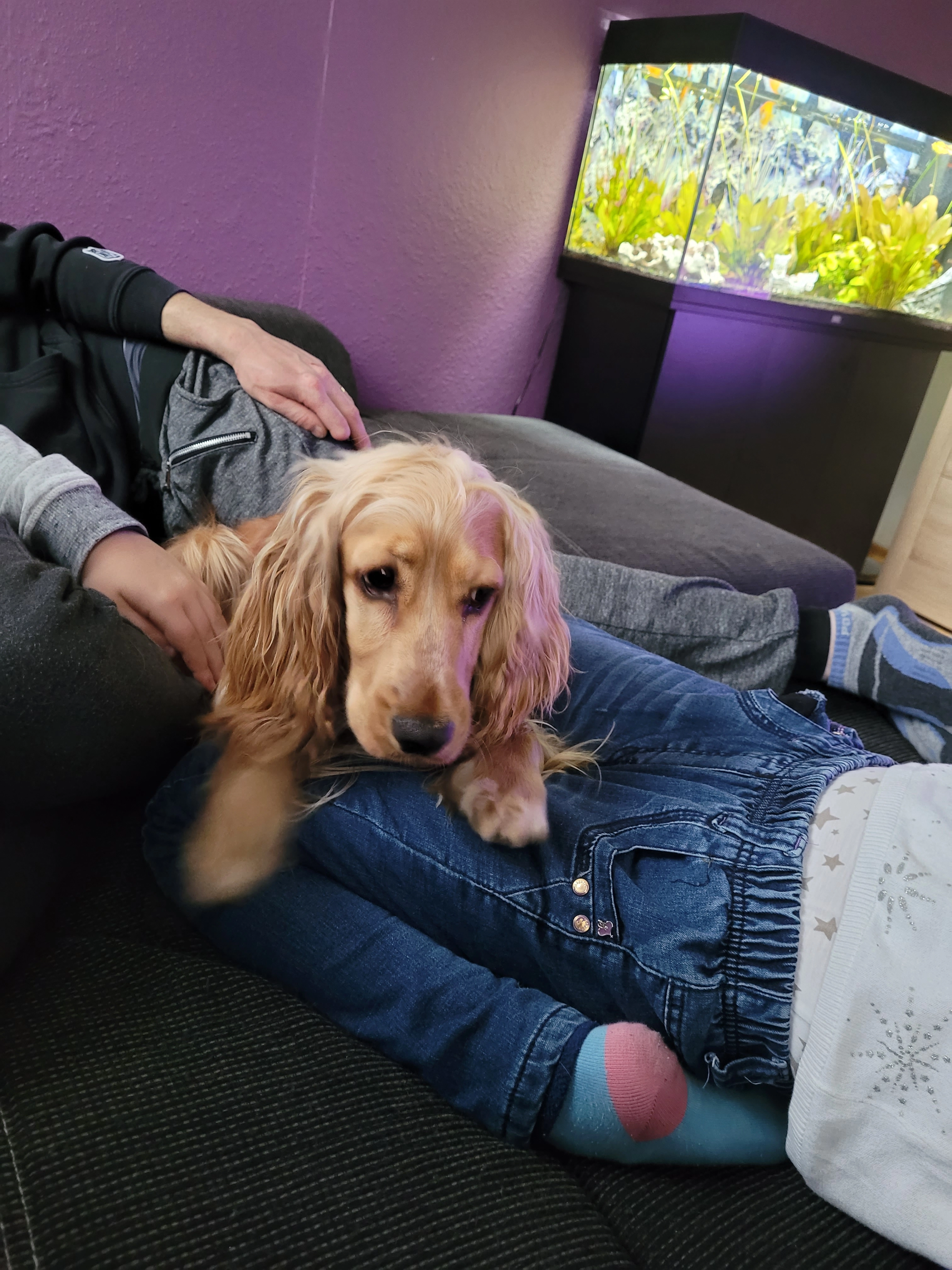 Kira  - Pötzling 15, Leinburg