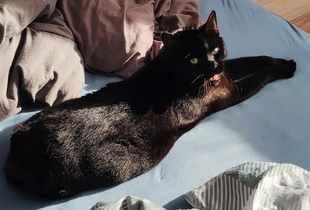 Ciuciulin - Arleser Straße, Fulda