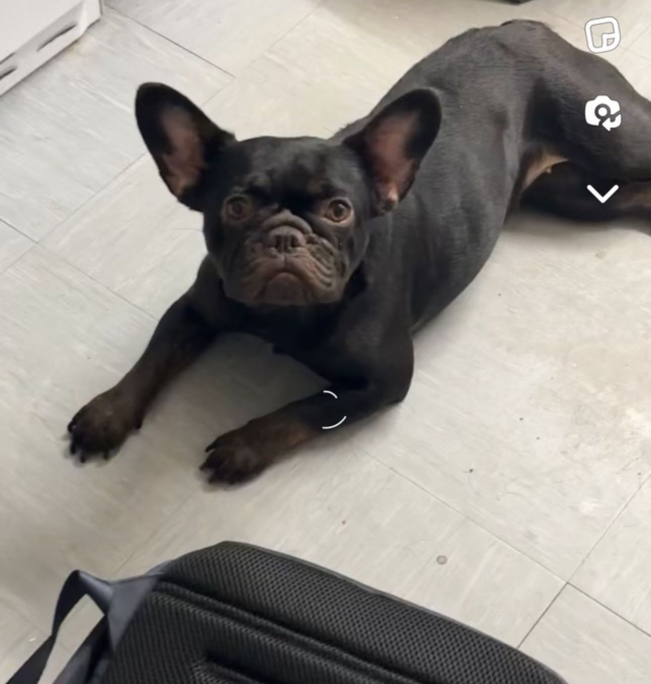 Milano - Victoria Park Road, Birmingham