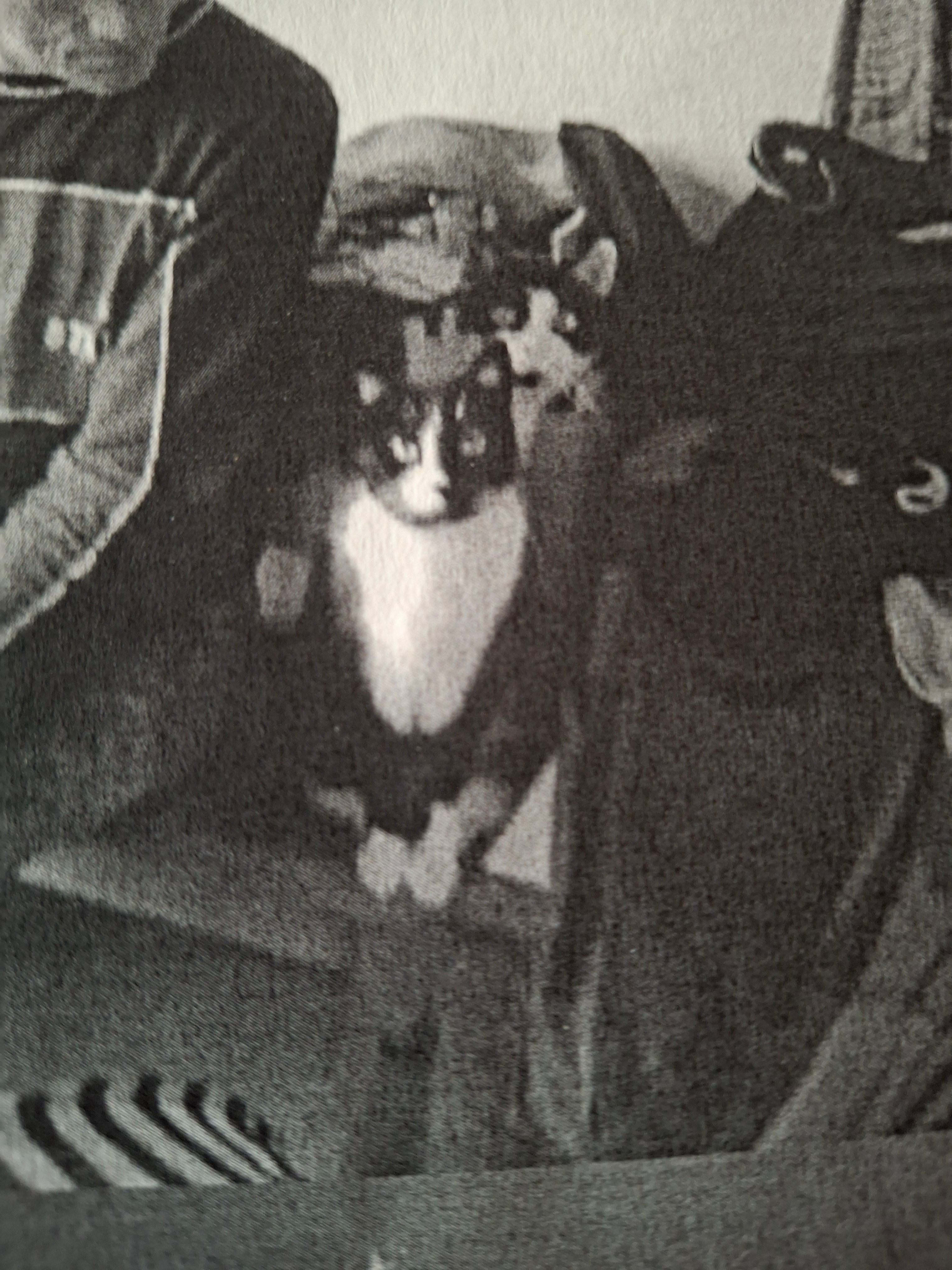 Niki - Luitpoldstraße, Bad Bergzabern