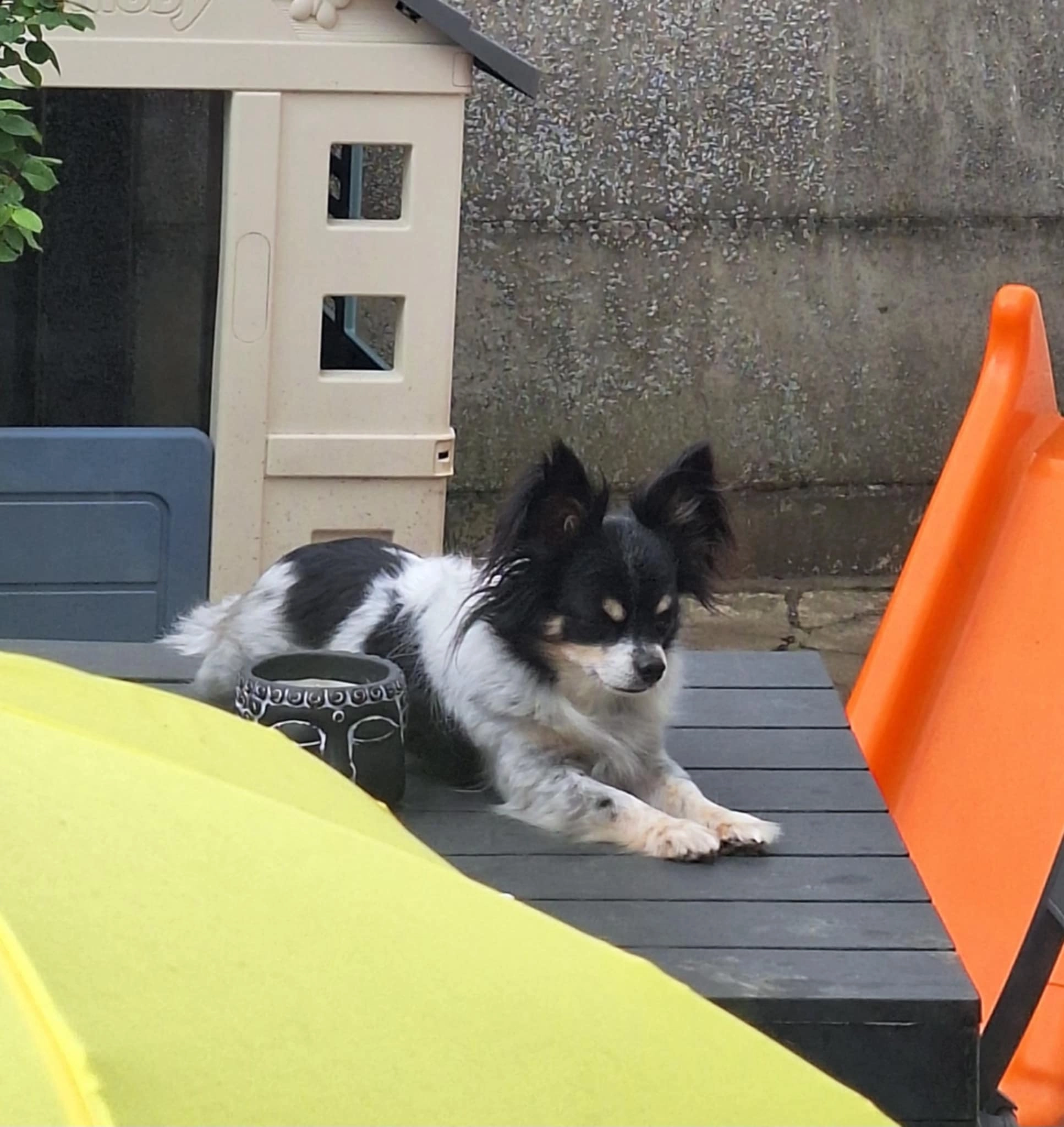 Némo - Rue Madeleine 63, Binche