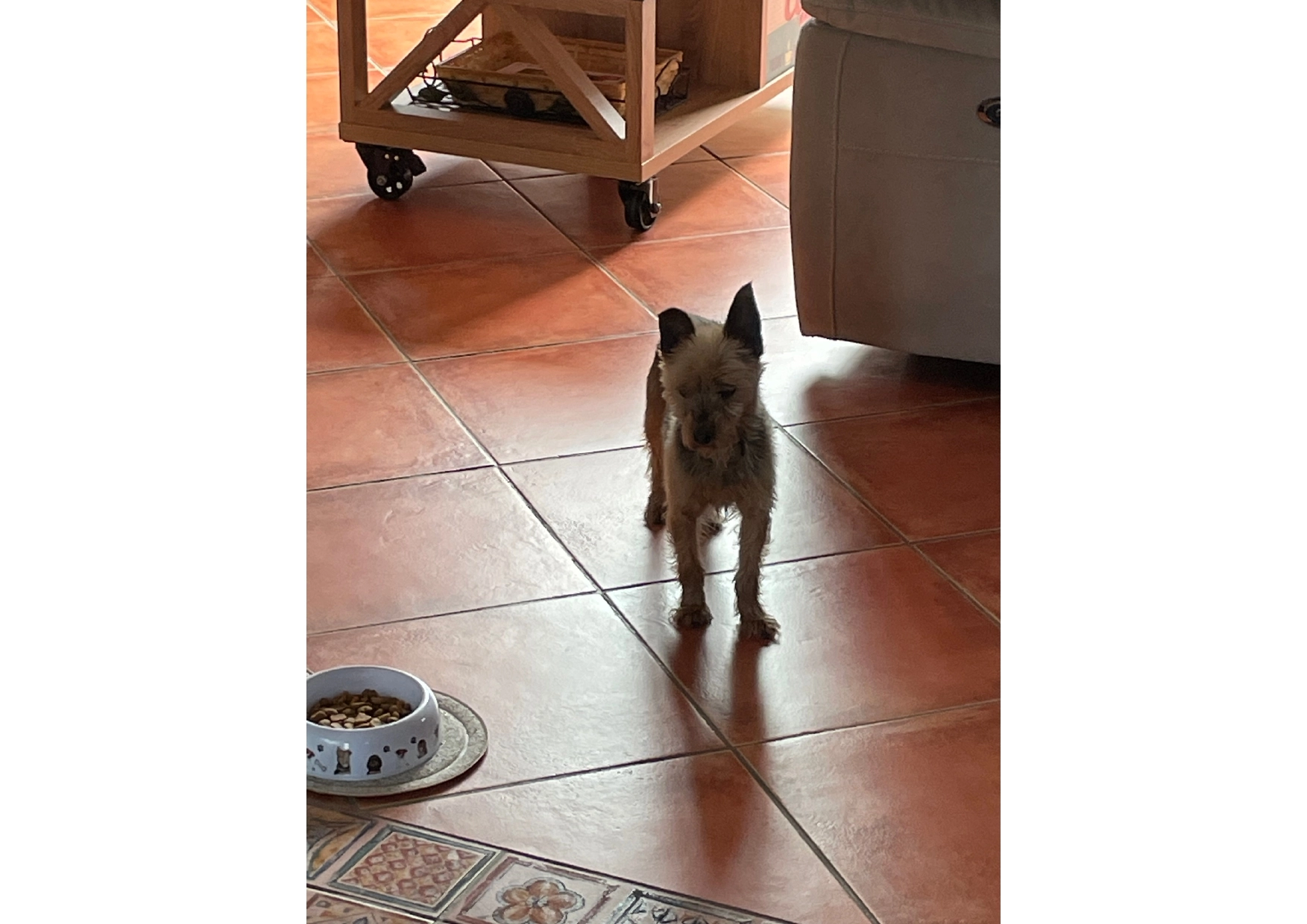 Meo  - Rue Voltaire, Gauchy