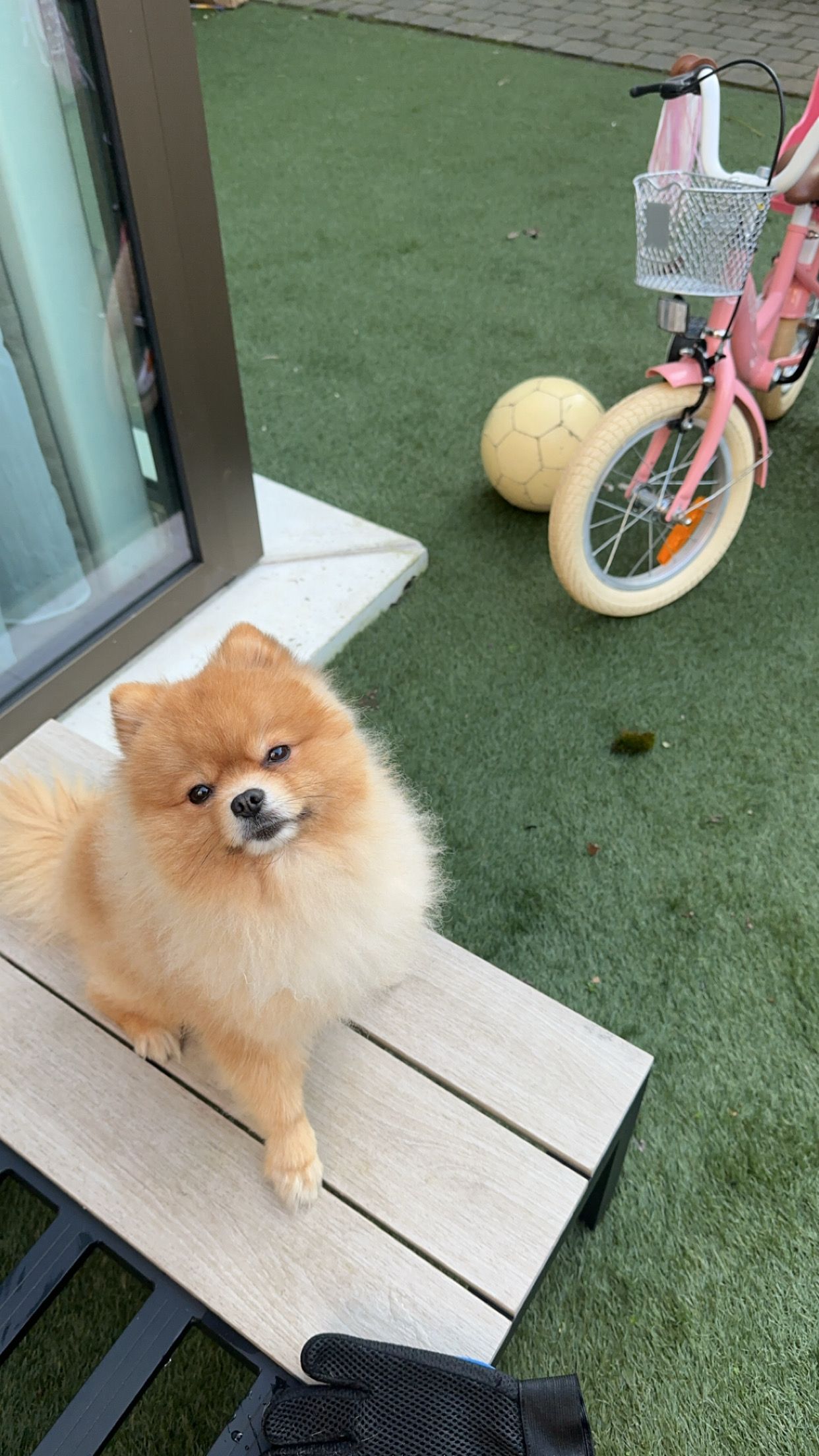 Kaya - Polbeek, Zwolle