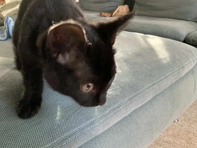 Rüdiger - Ortelsburger Straße, Bremen