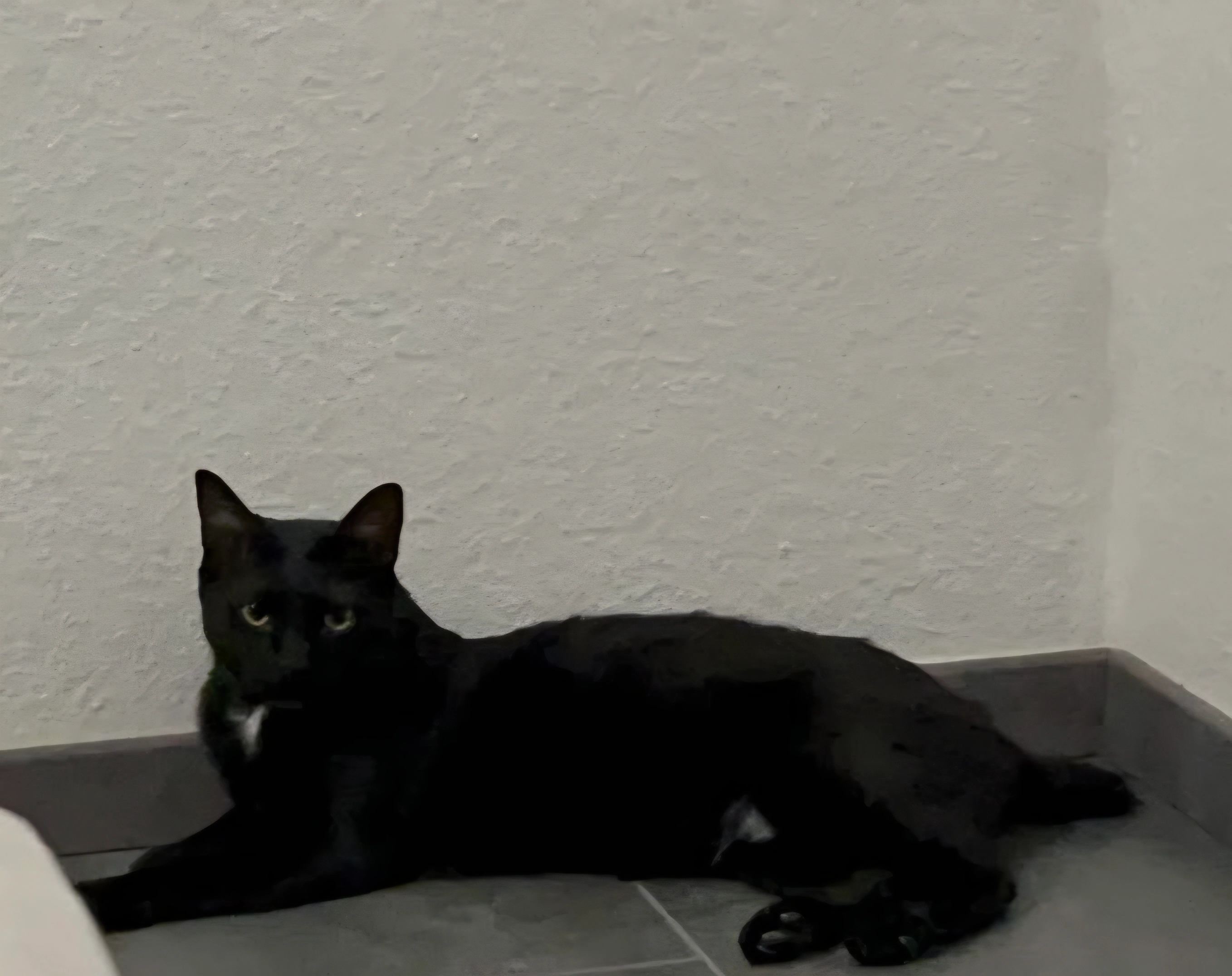 Black - Gustav-Sybrecht-Straße, Lünen