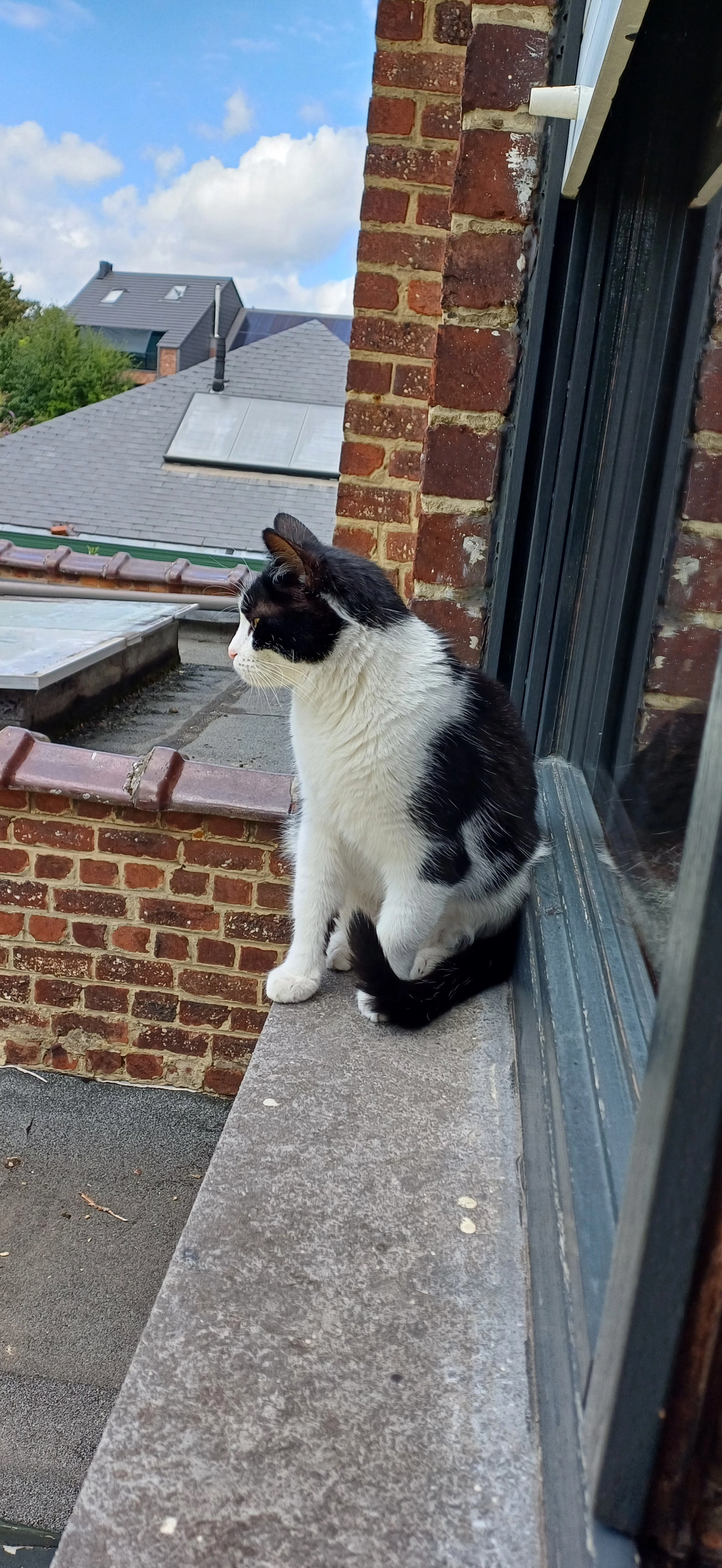 Melvin - Onze-Lieve-Vrouwstraat, Herent