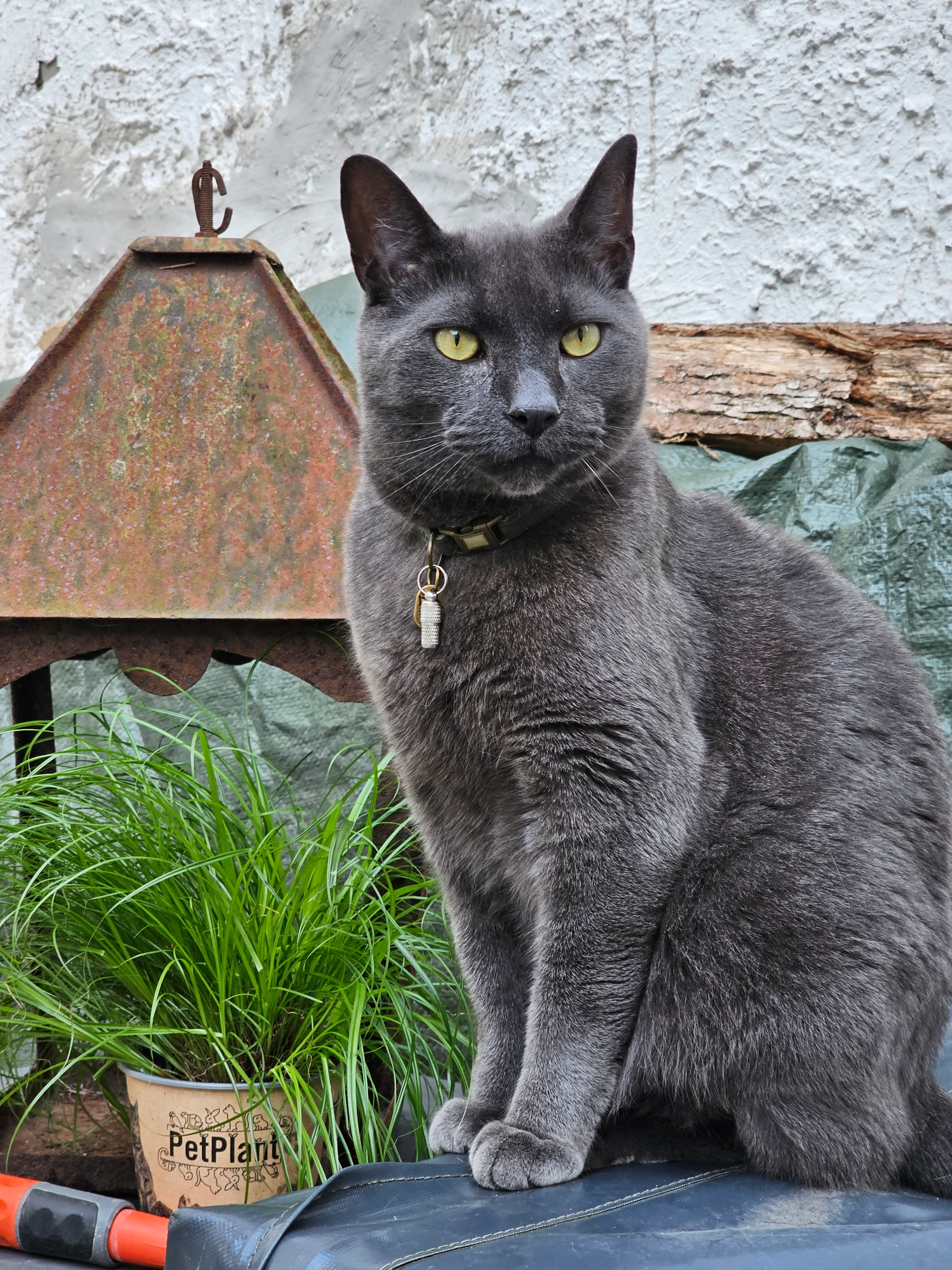 Blue - Korte Sint Janstraat, Zierikzee