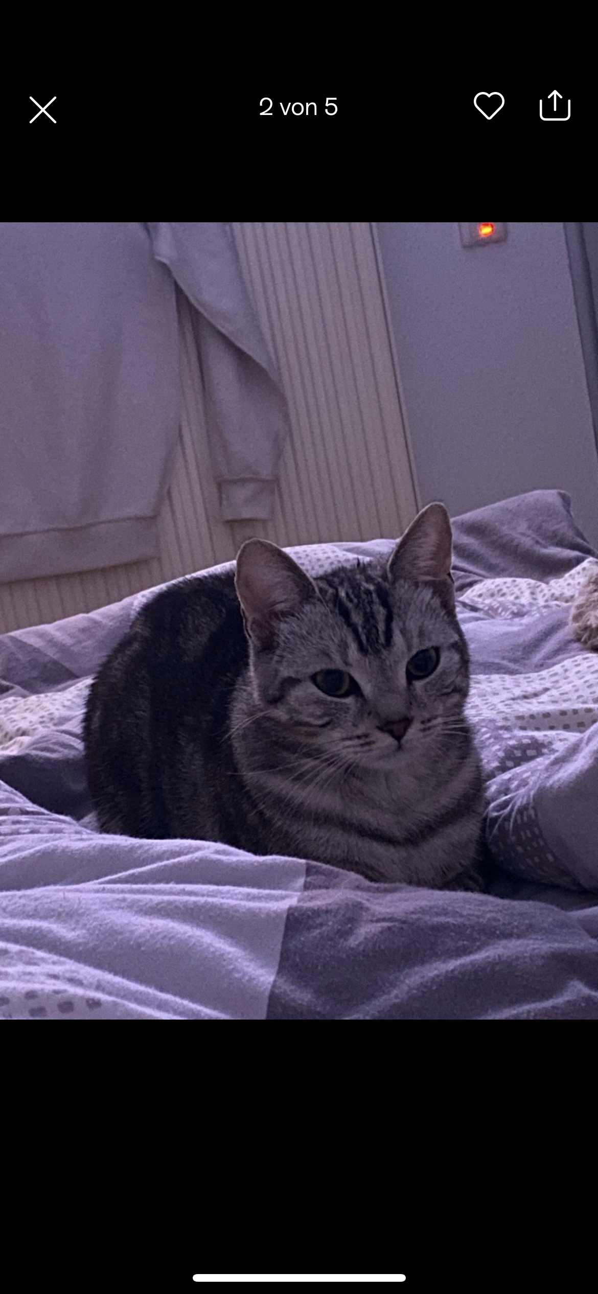 Karla - Nordring, Borken