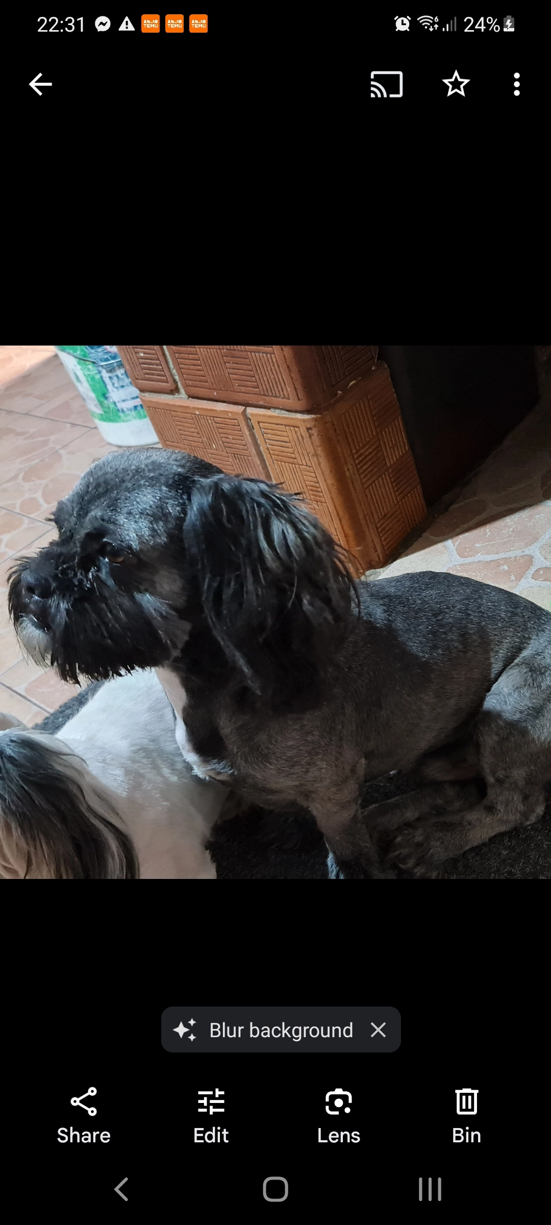 Cookie  - S63 7, Rotherham