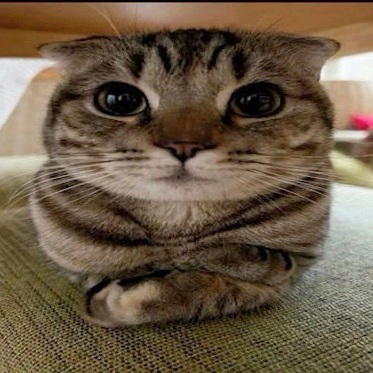 Le steve - Kastorfer Dorfstraße, Milow