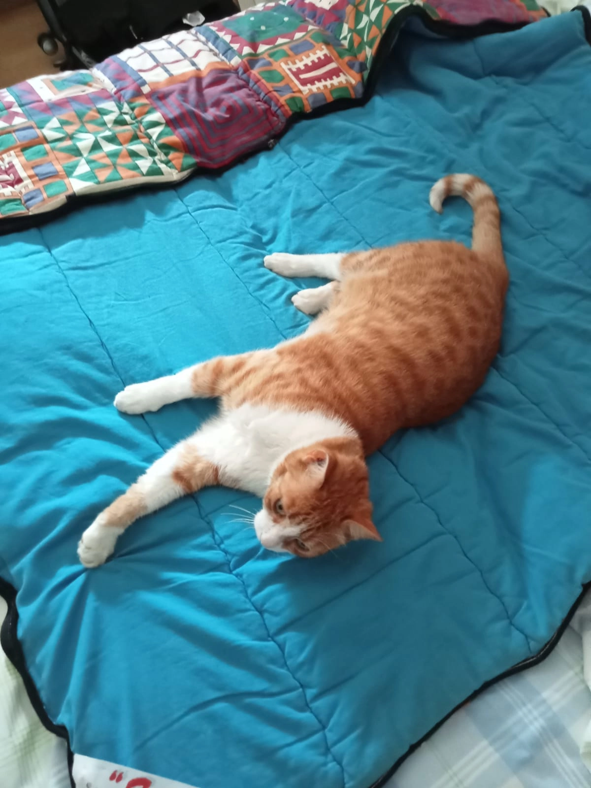 Karamel  - Avenue Amédée Mercier, Bourg-en-Bresse