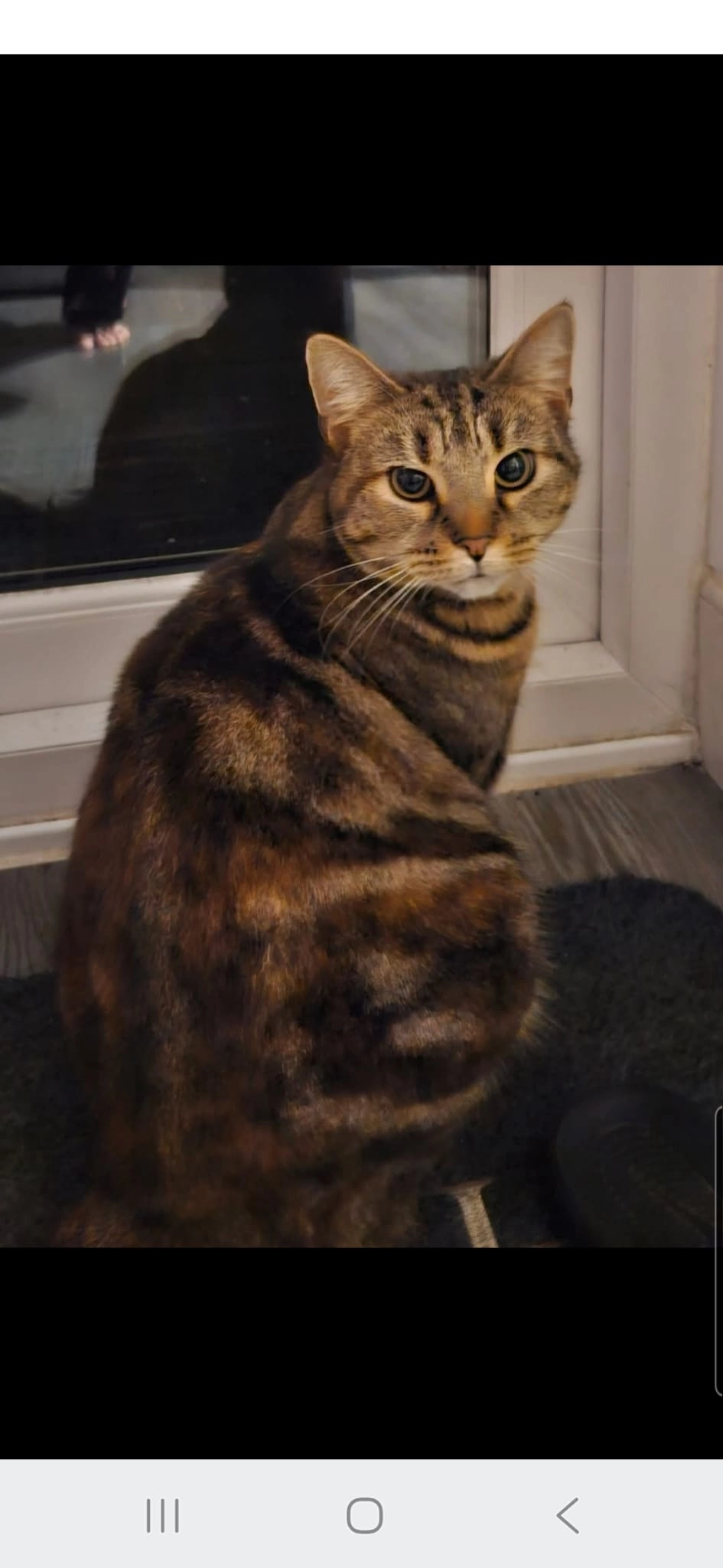 Swimmy - EH16 4, Edinburgh