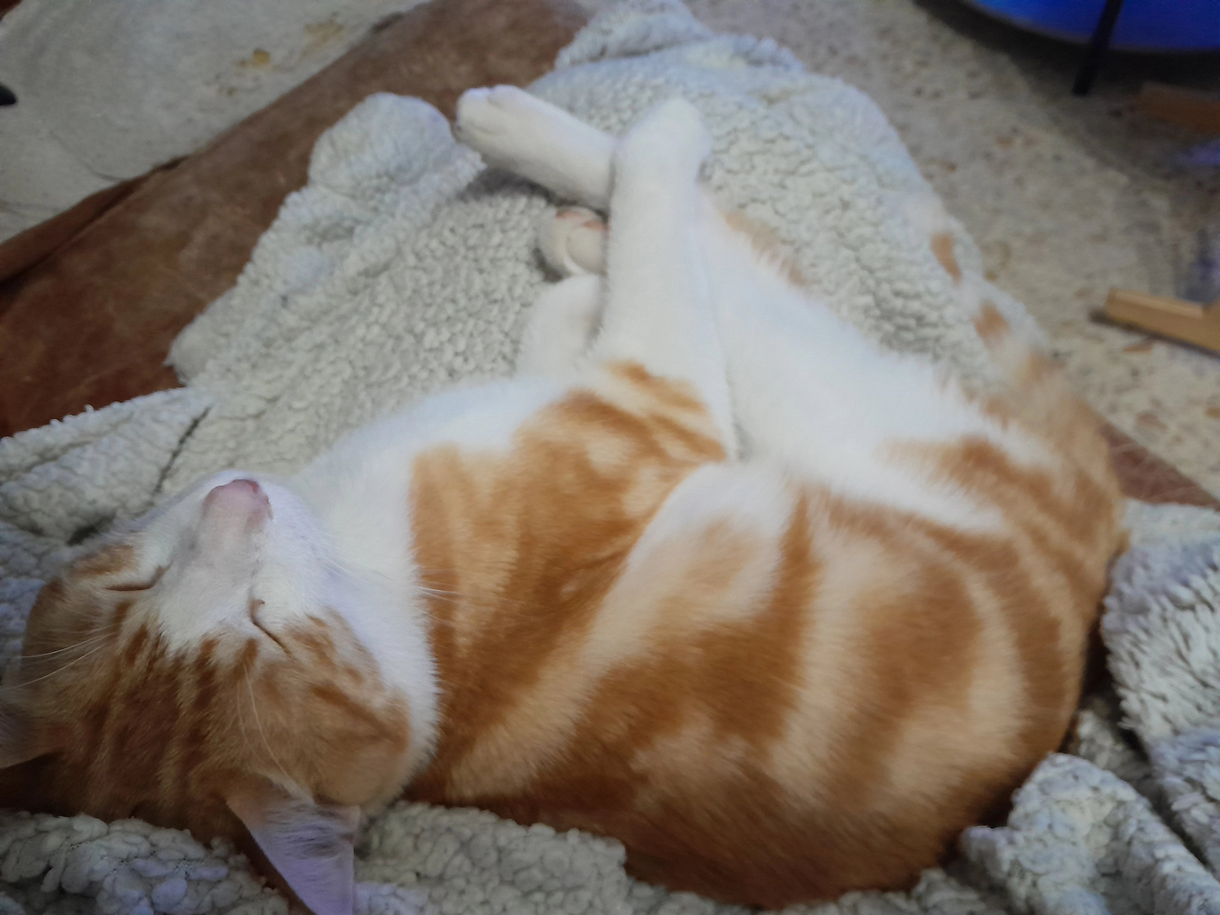 Dobby - 107 Avenue de la Retanque, Saint-Saturnin-lès-Avignon