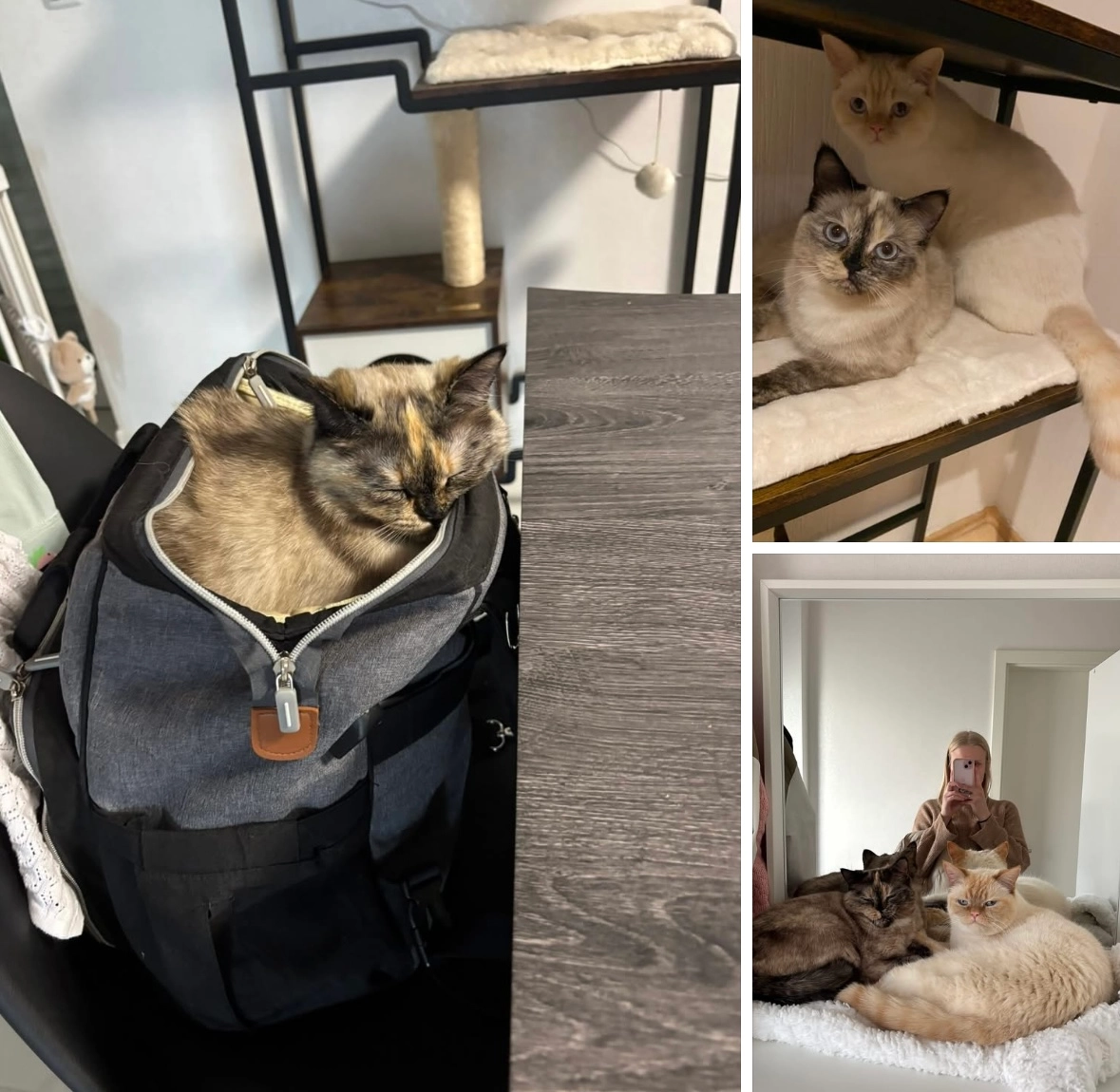 Misa  - Weißdornring, Müden