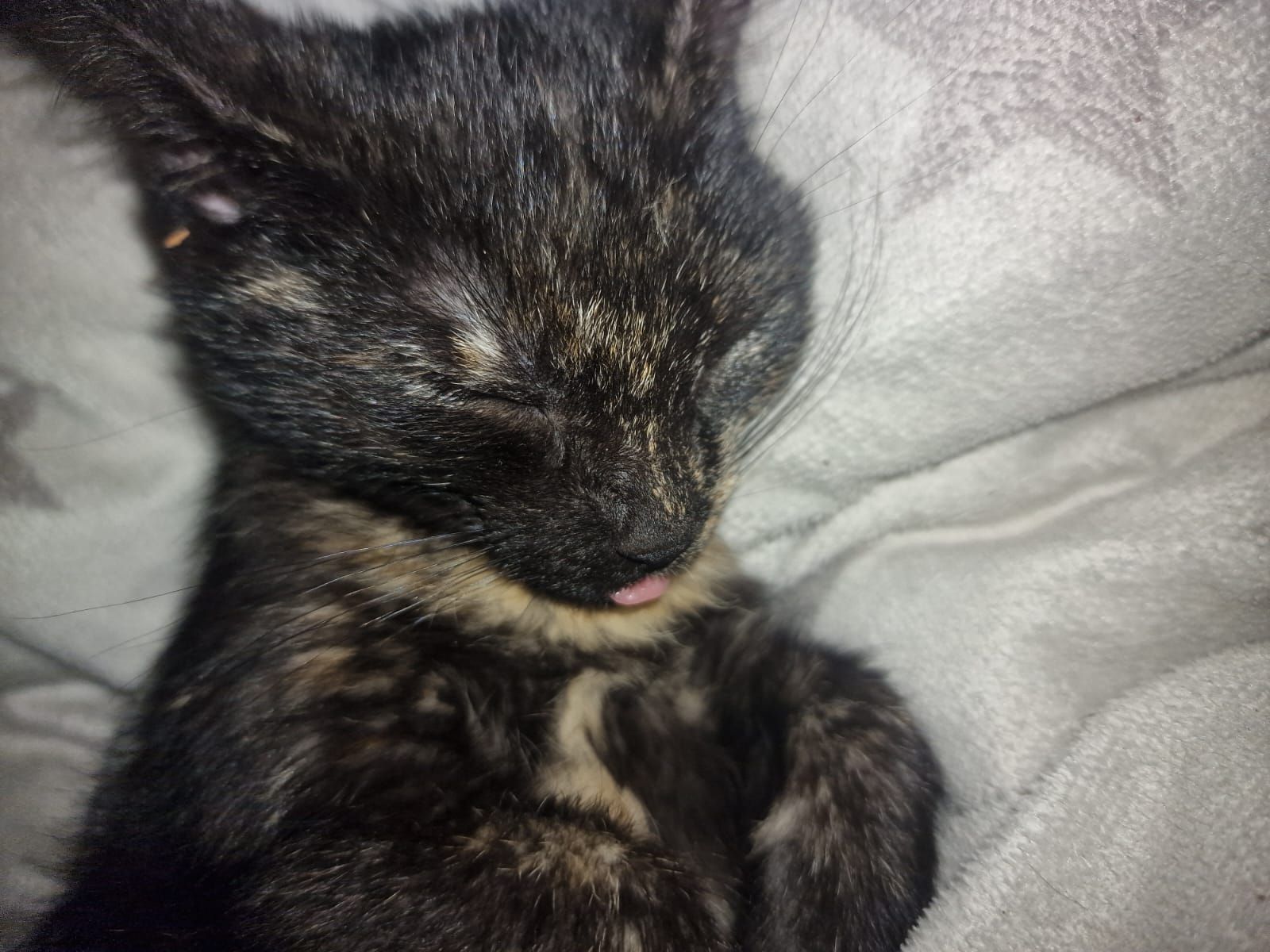 Mikasa - Clara-Zetkin-Ring, Malchow