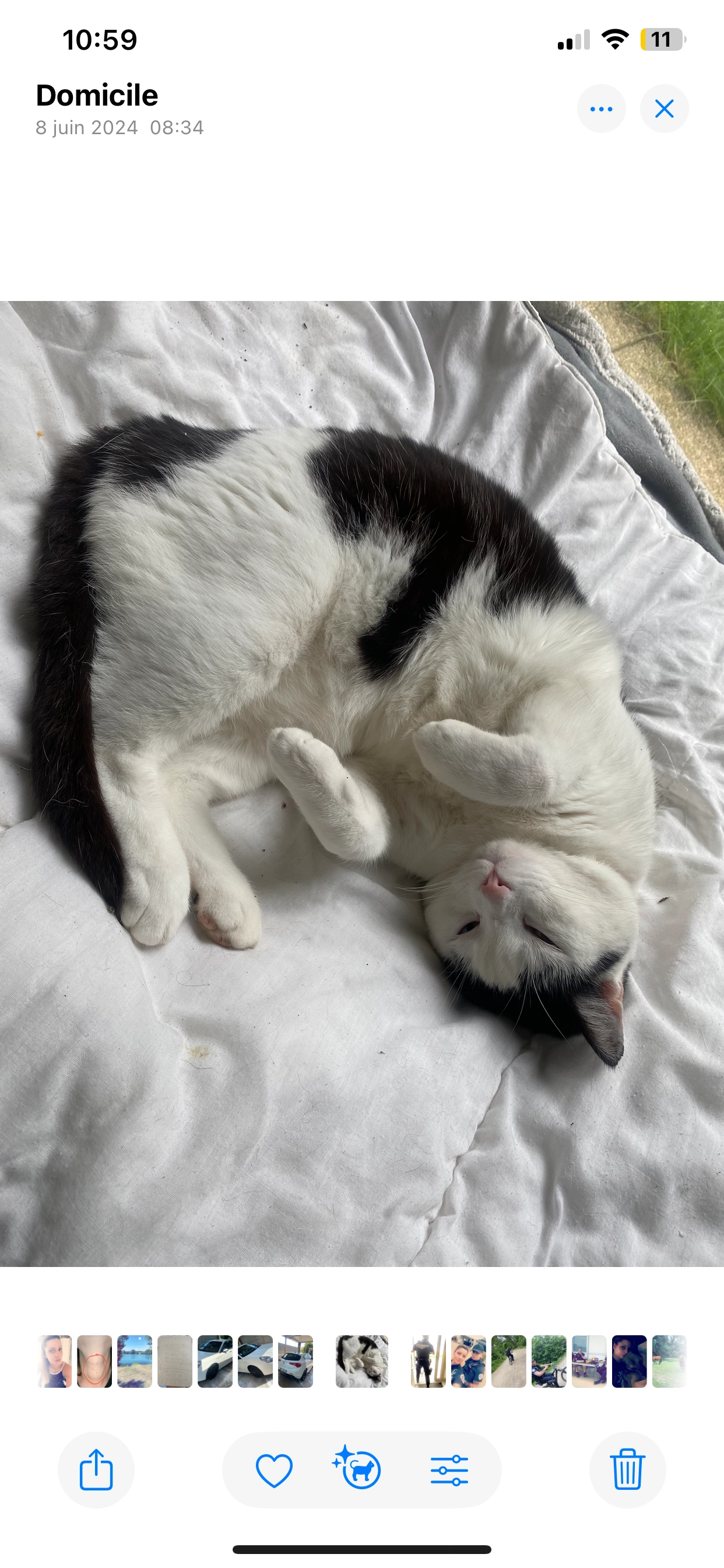 Ducaty - 893 Rue Jean-Baptiste Martini, Villefranche-sur-Saône