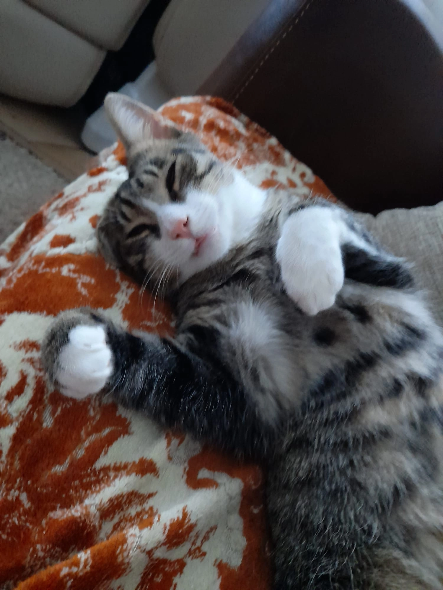 Gogu - Strada Dezrobirii, București