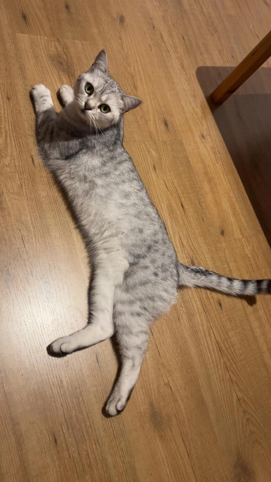 Filou - Mariengartenstraße, Jülich