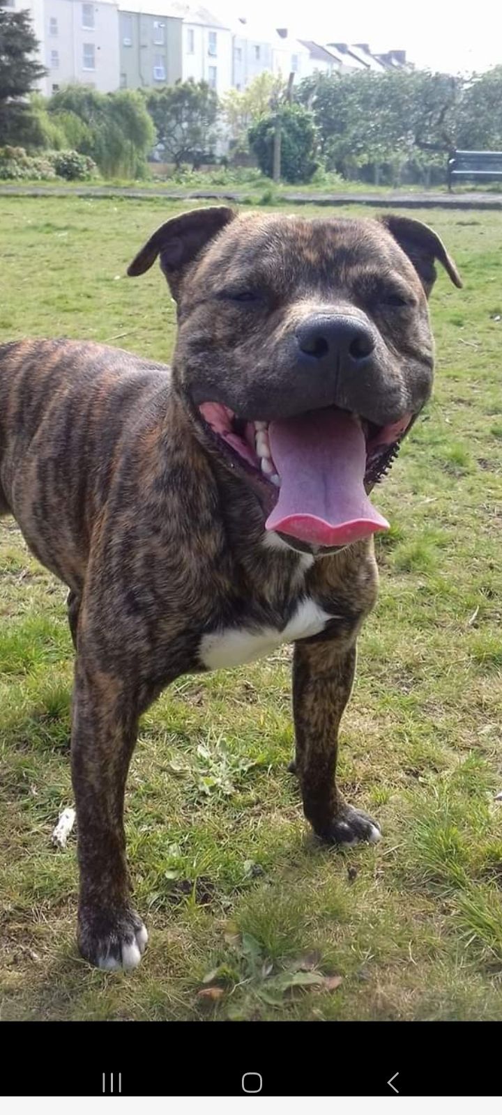 Storm  - River View, Plymouth