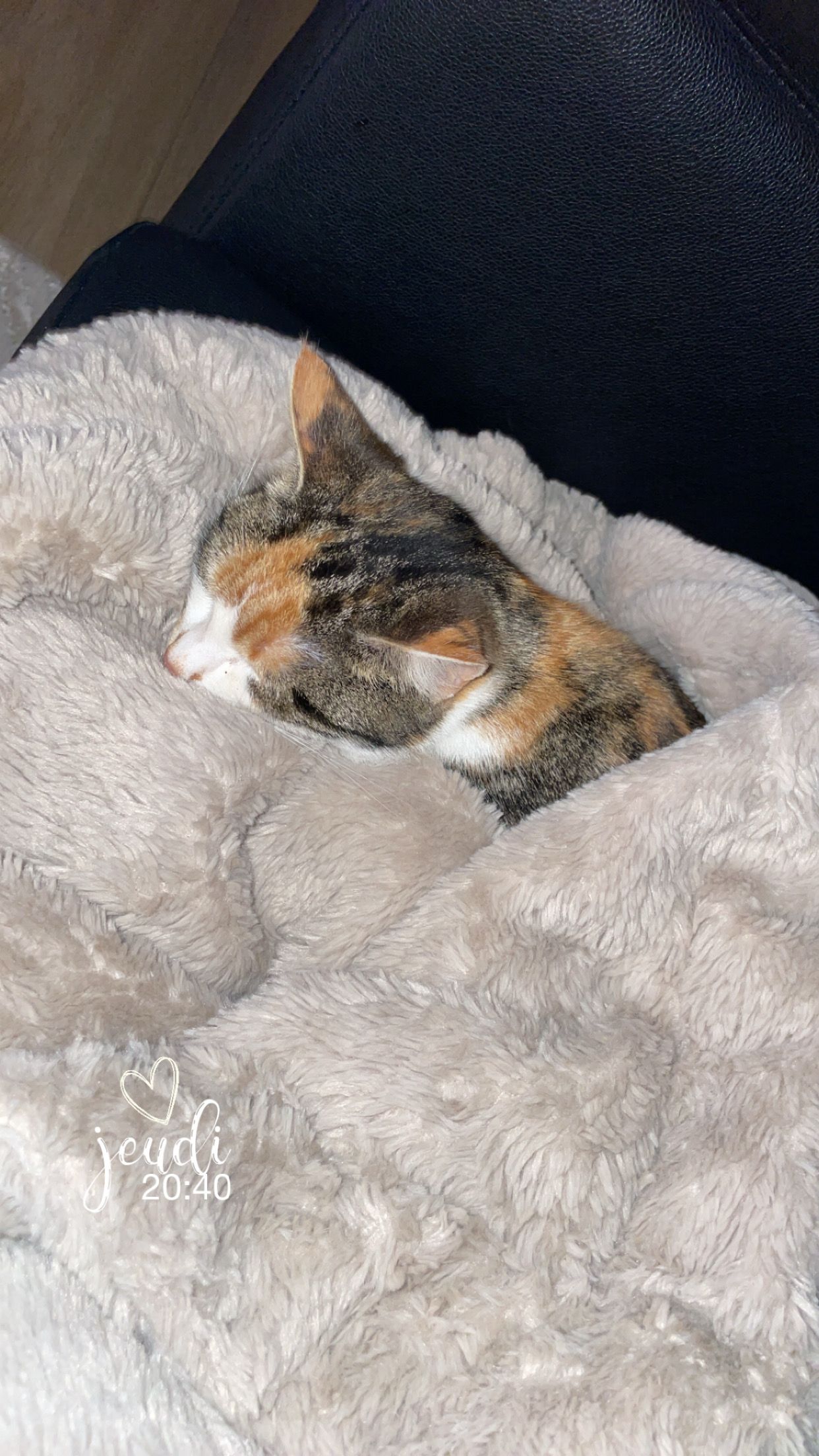 Luna - Rue Du Prêche, Blois