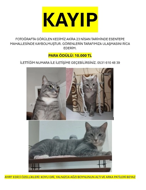 Akira - 2403. Sokak, Istanbul