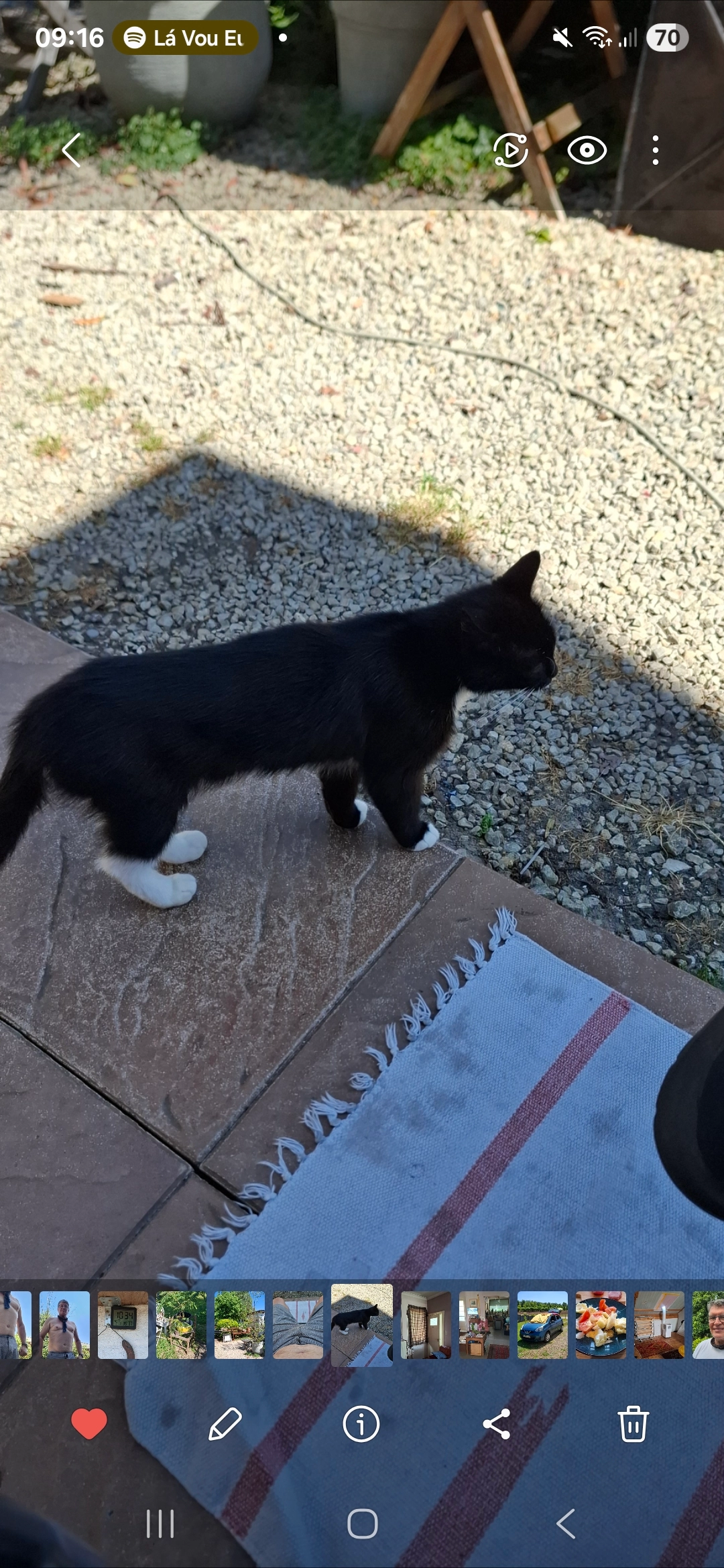 Tsipsie - Engelbeekstraat 68, Diest